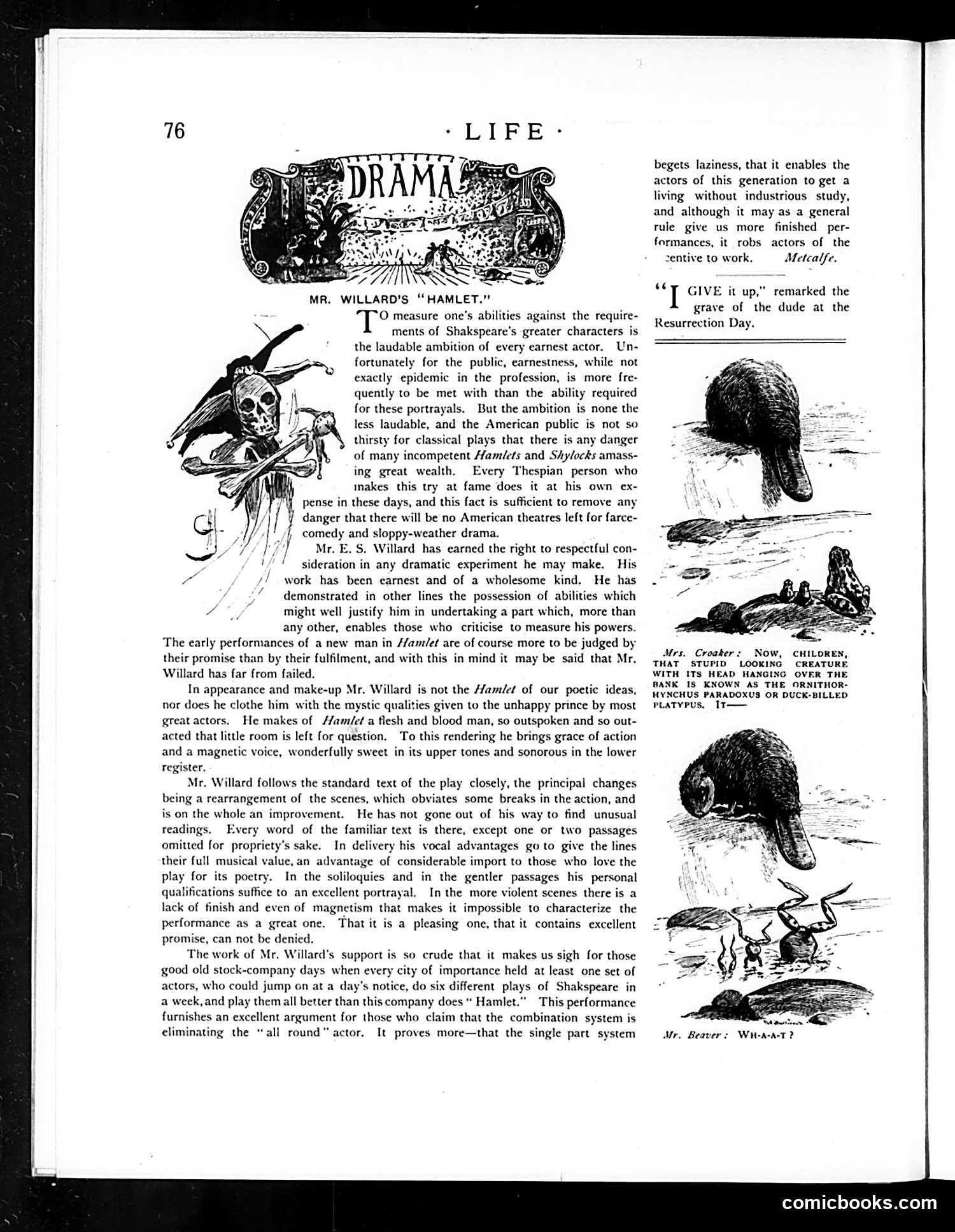 Life — February 1, 1894 — page 12: Life, 1894-02-01