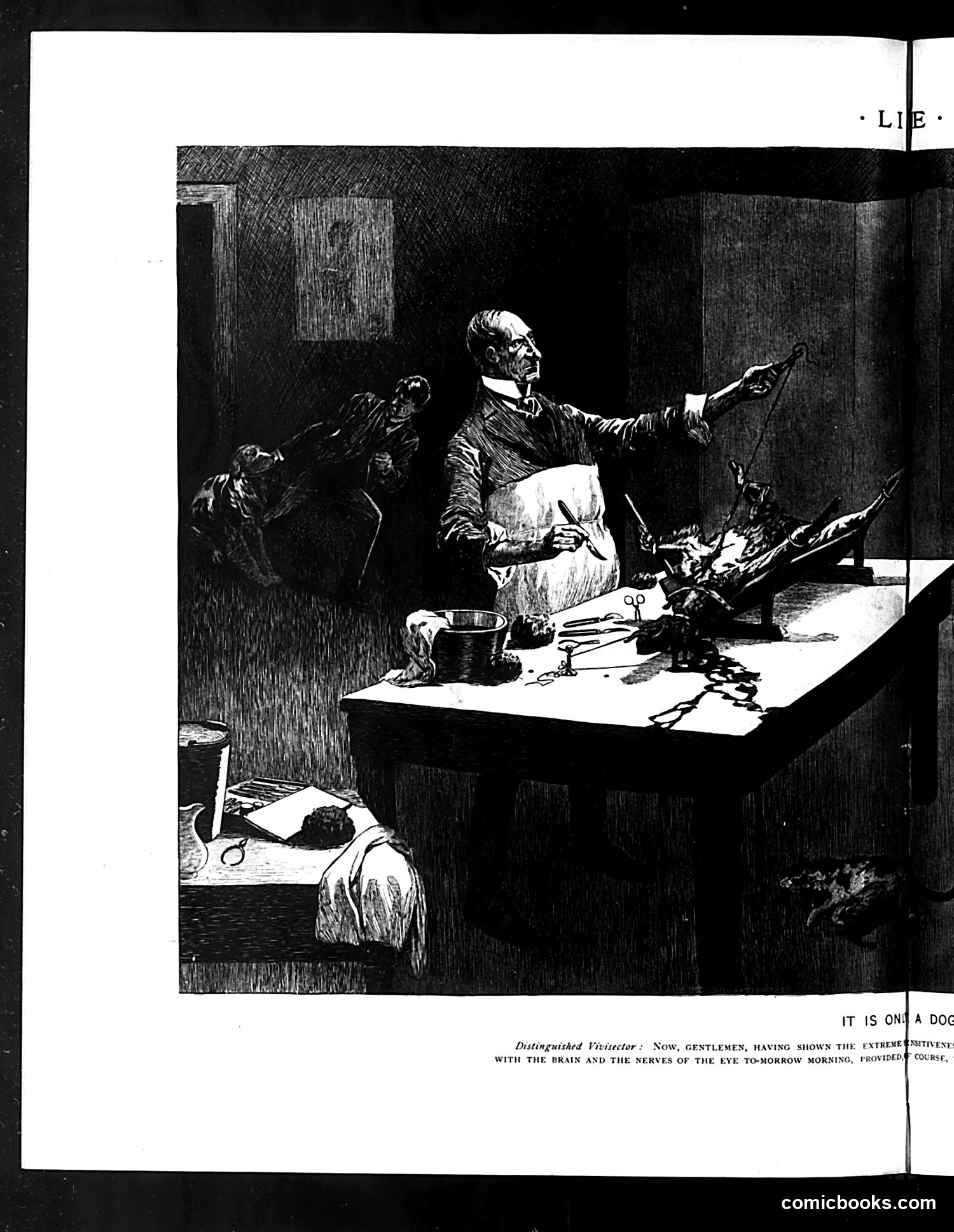 Life — June 7, 1894 — page 8: Life, 1894-06-07