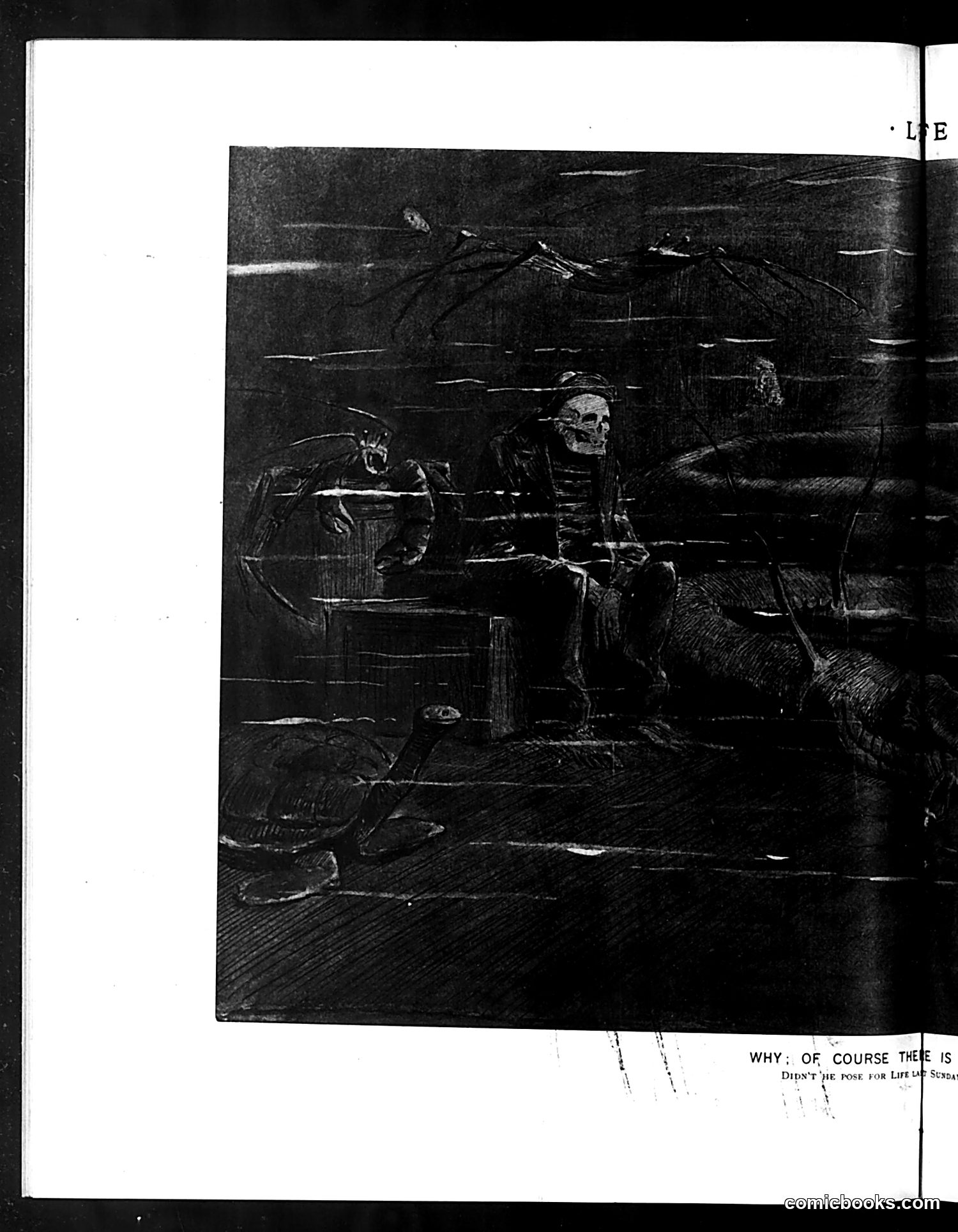 Life — June 21, 1894 — page 8: Life, 1894-06-21