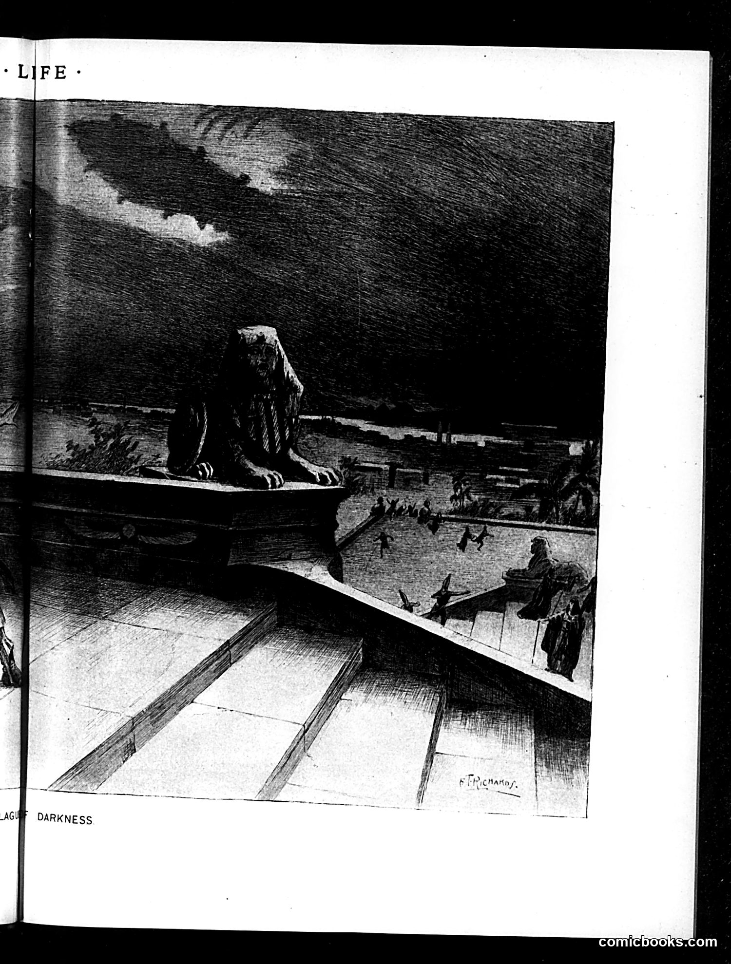 Life — November 1, 1894 — page 11: Life, 1894-11-01