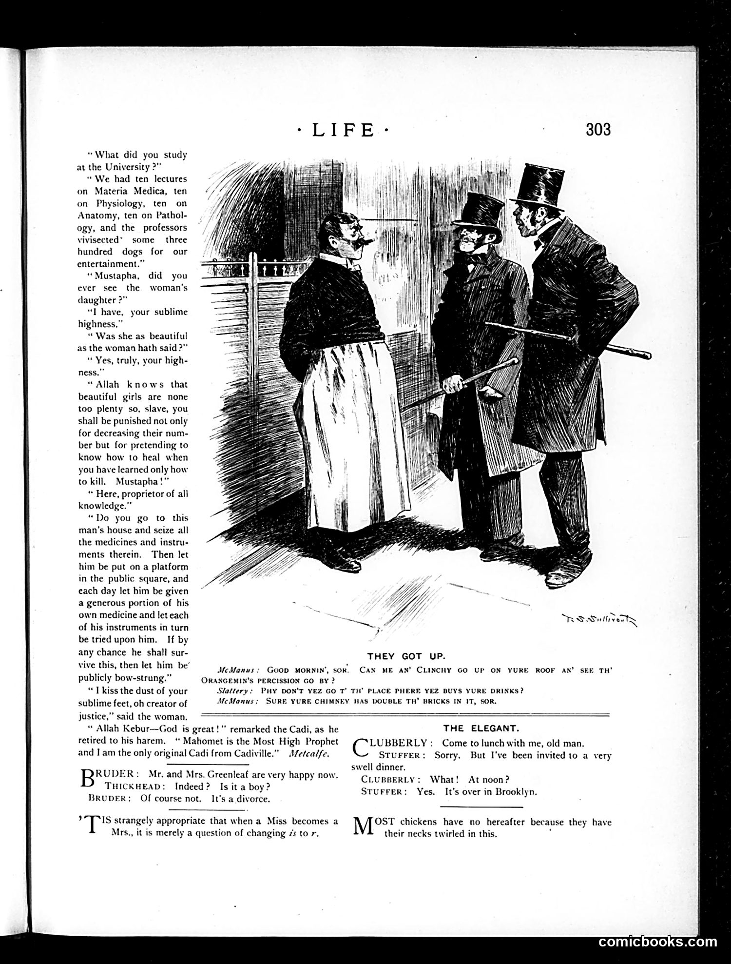 Life — November 8, 1894 — page 13: Life, 1894-11-08