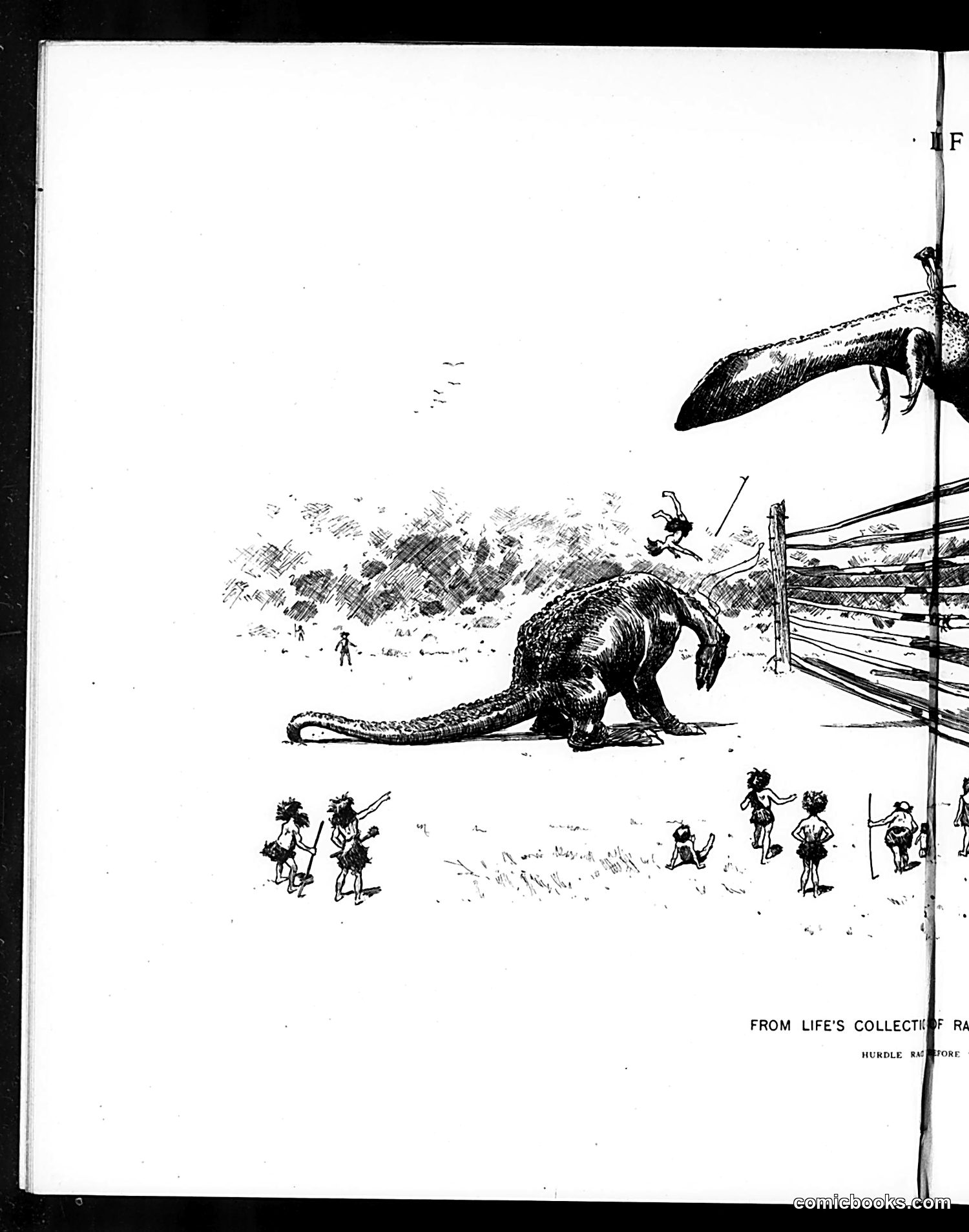 Life — January 31, 1895 — page 8: Life, 1895-01-31