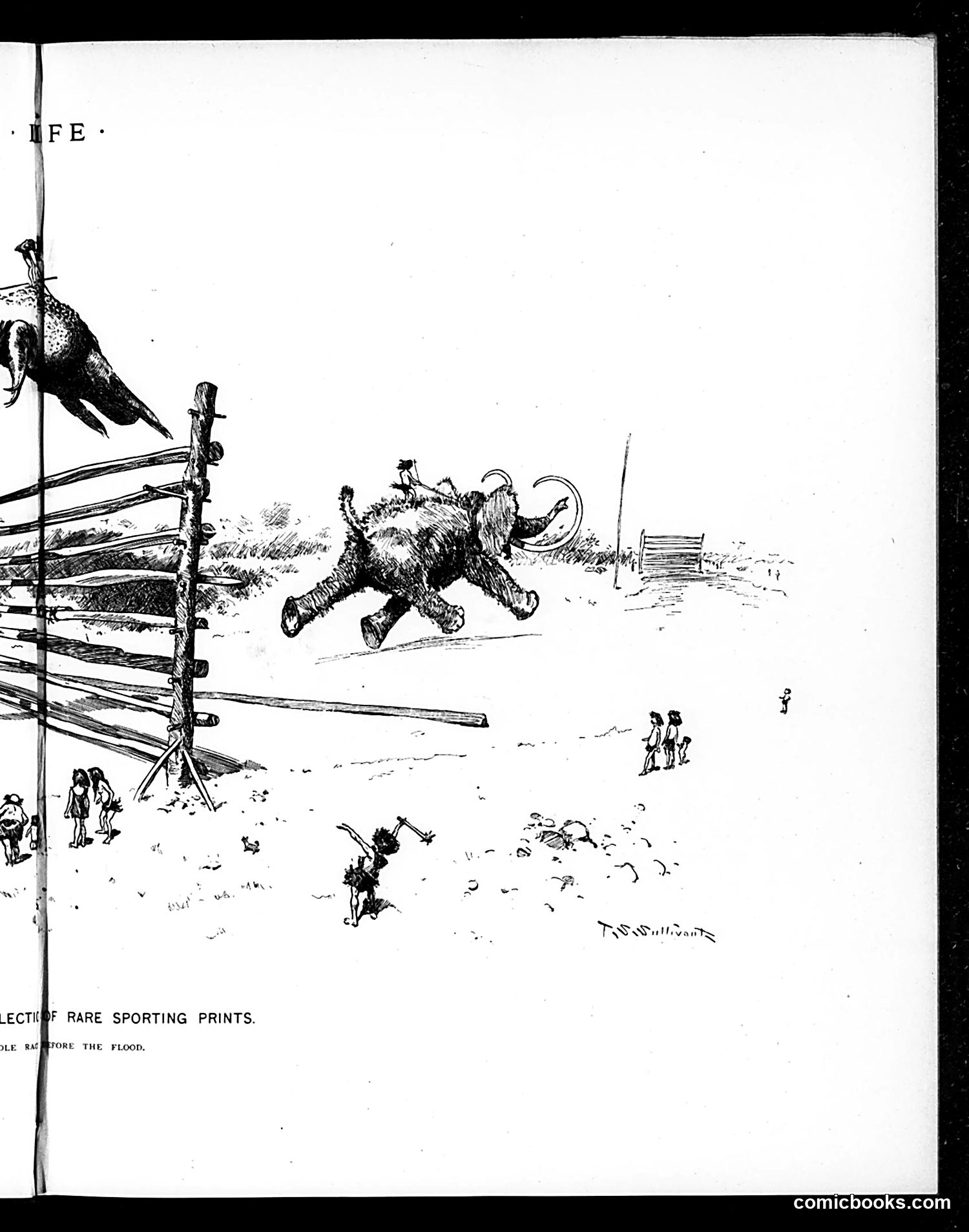 Life — January 31, 1895 — page 9: Life, 1895-01-31