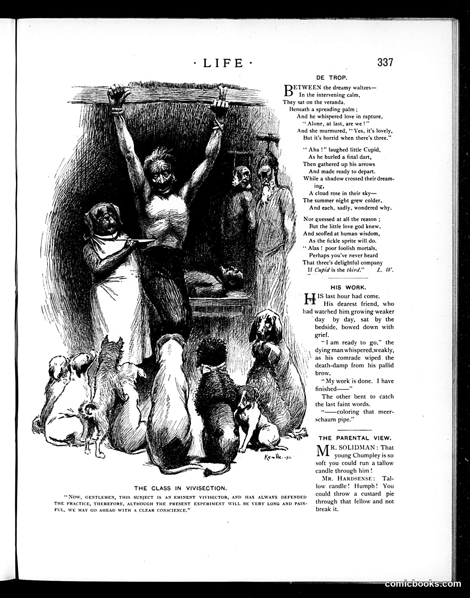 Life — May 23, 1895 — page 7: Life, 1895-05-23