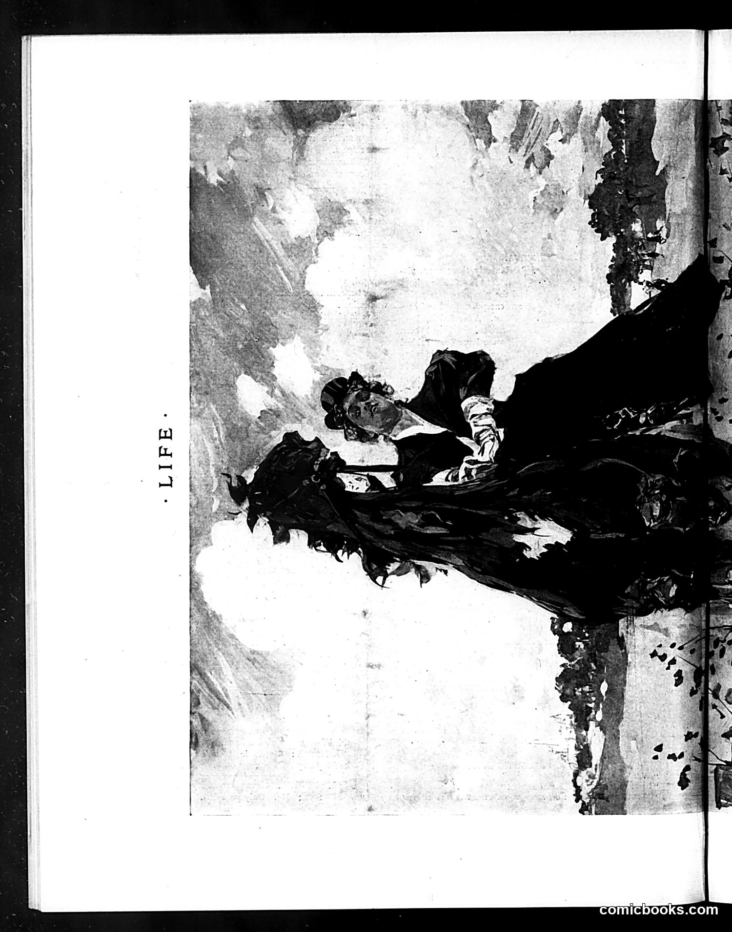 Life — May 30, 1895 — page 12: Life, 1895-05-30