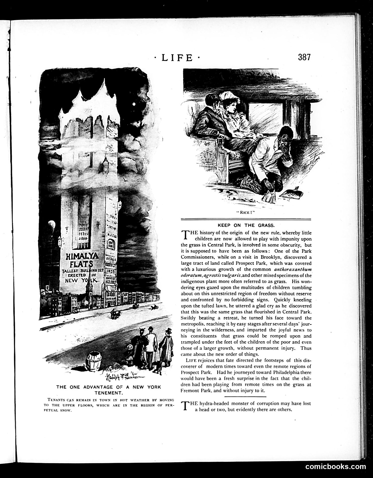 Life — June 13, 1895 — page 5: Life, 1895-06-13