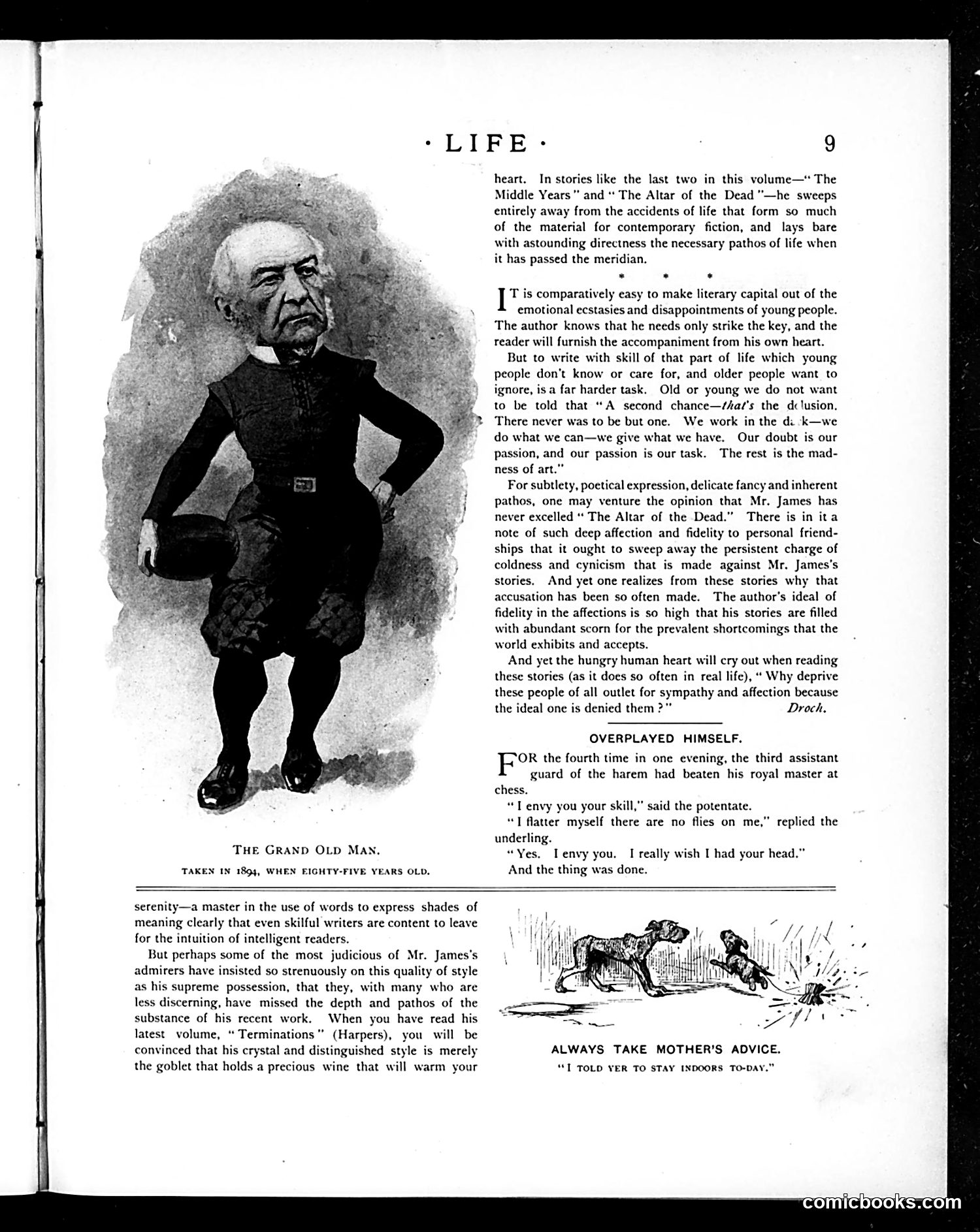 Life — July 4, 1895 — page 9: Life, 1895-07-04