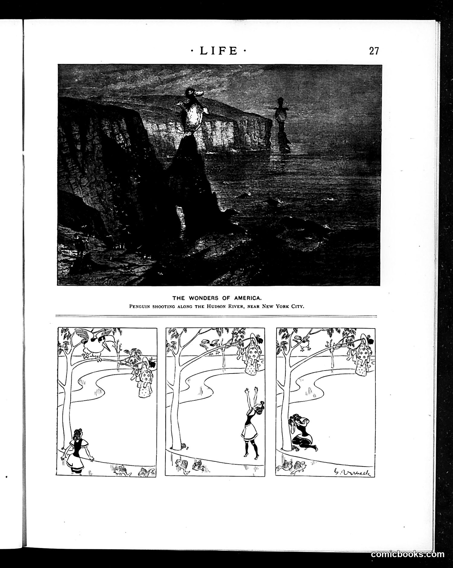Life — July 11, 1895 — page 11: Life, 1895-07-11