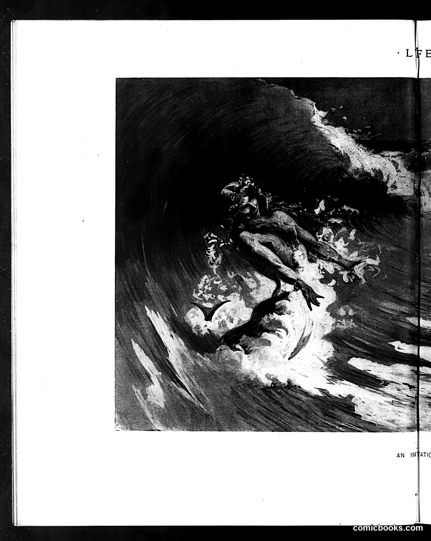 Life — July 18, 1895 — page 8: Life, 1895-07-18
