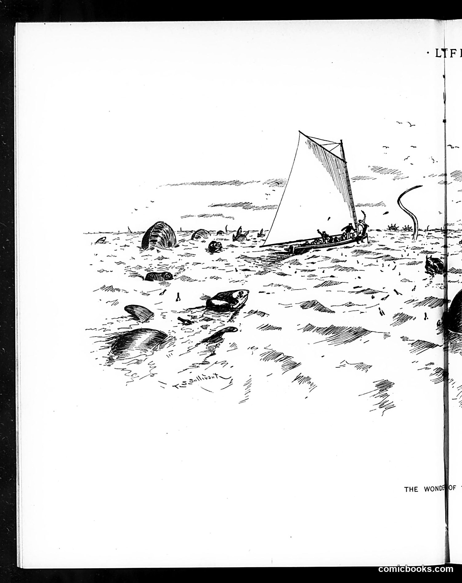 Life — August 15, 1895 — page 8: Life, 1895-08-15