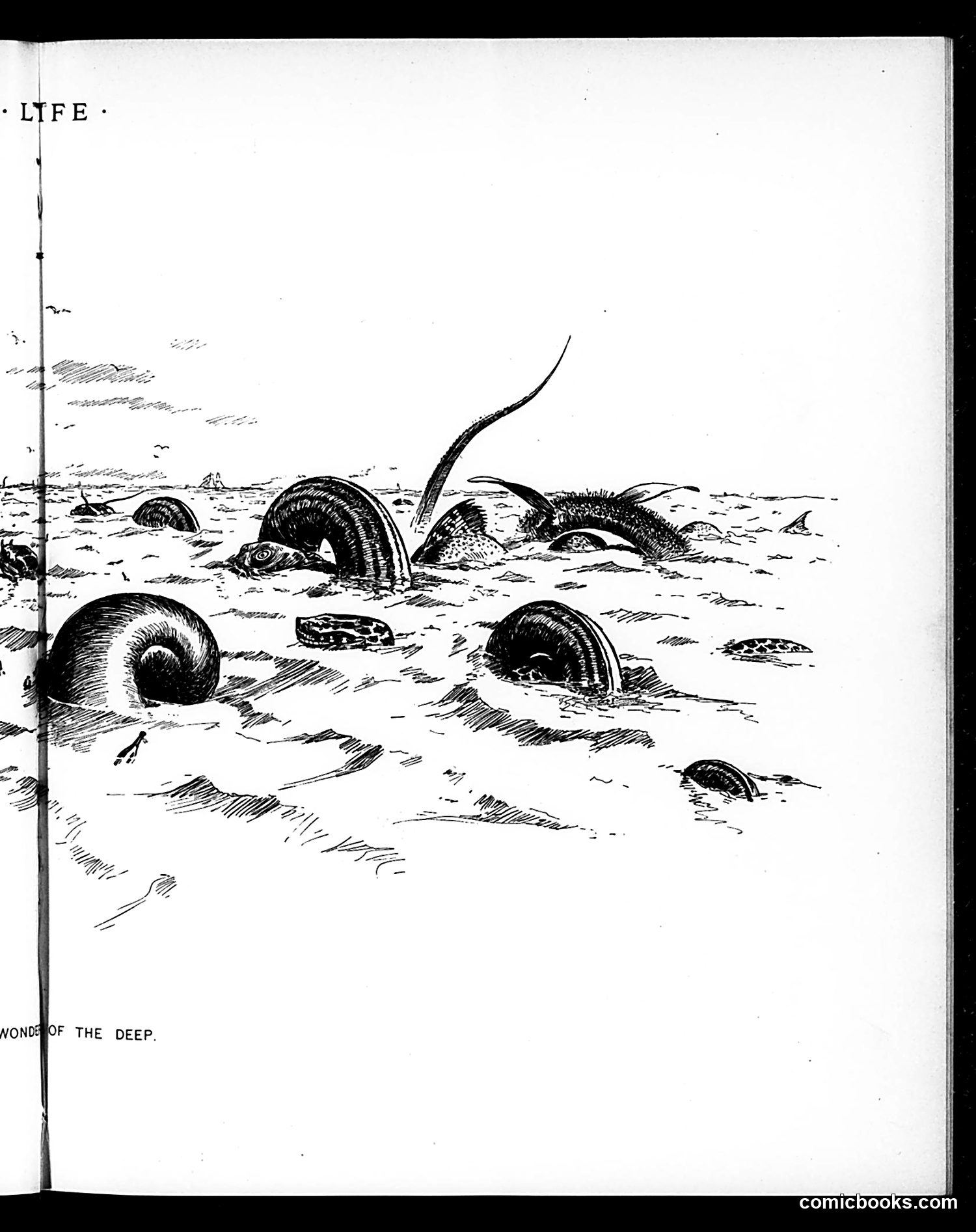 Life — August 15, 1895 — page 9: Life, 1895-08-15