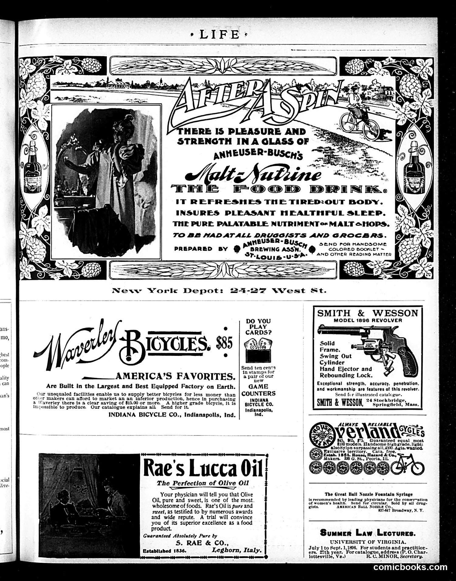 Life — April 2, 1896 — page 3: Life, 1896-04-02