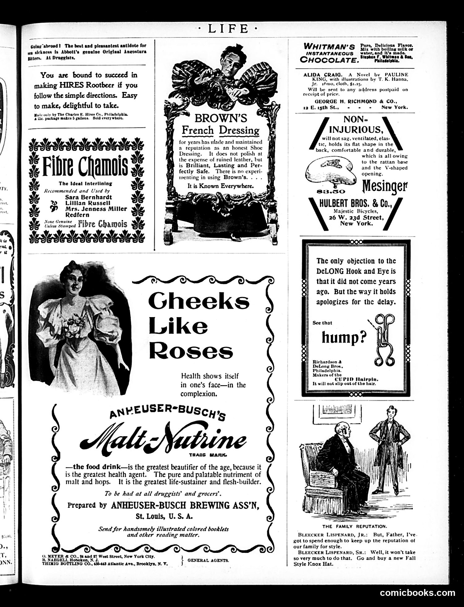 Life — May 28, 1896 — page 3: Life, 1896-05-28