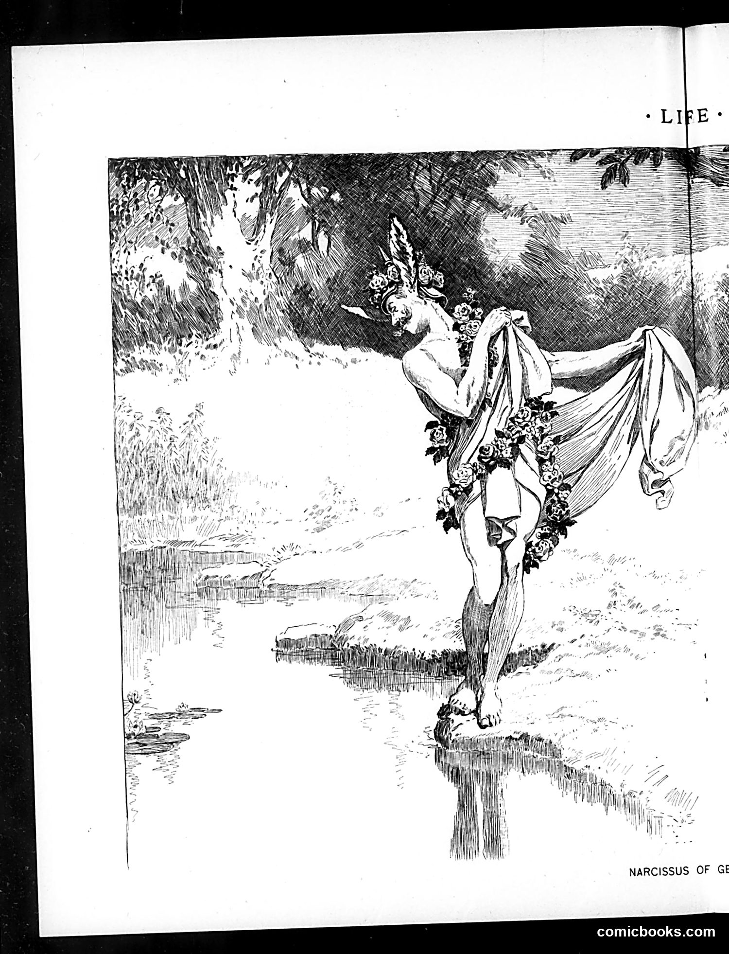 Life — June 11, 1896 — page 10: Life, 1896-06-11