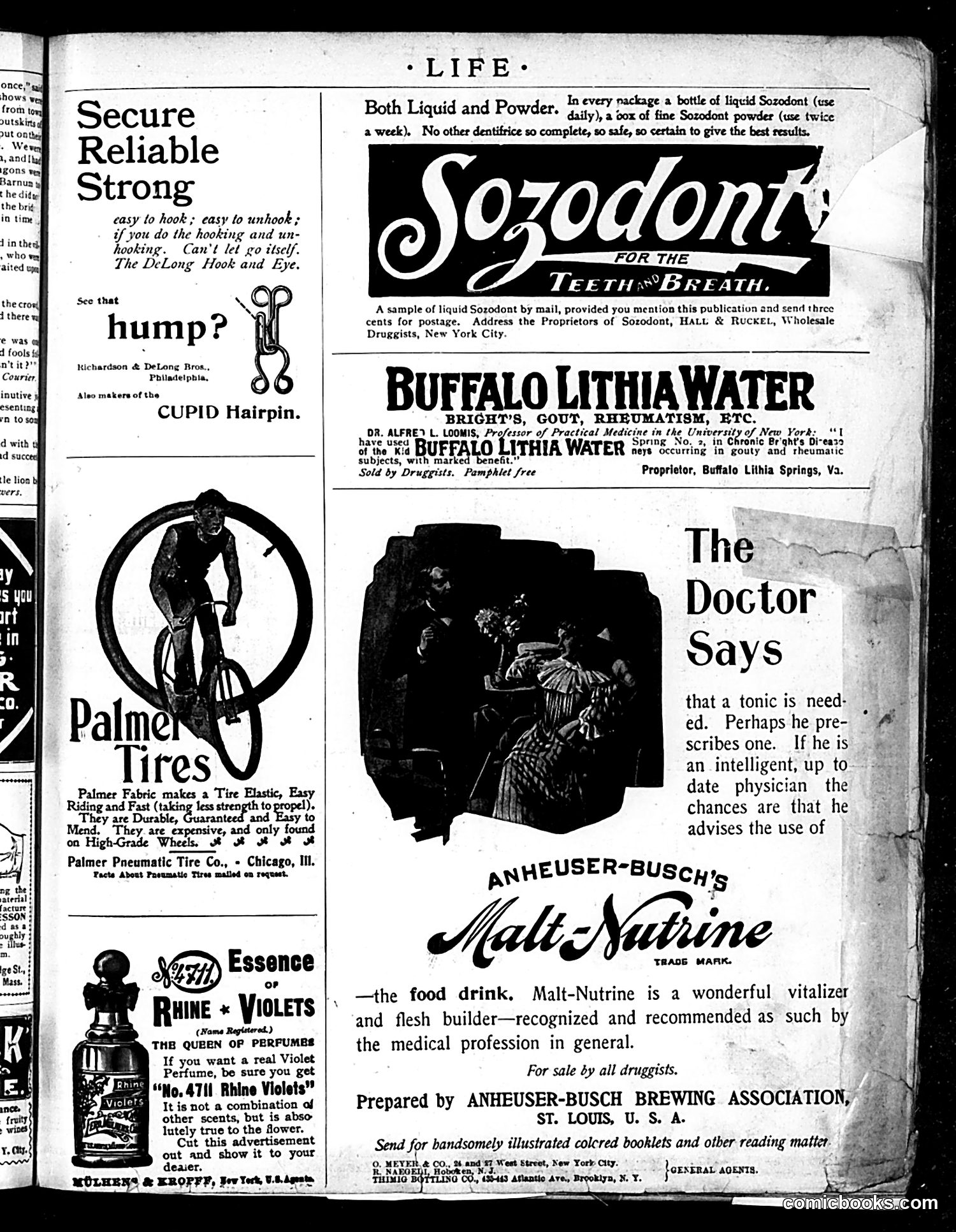 Life — July 16, 1896 — page 5: Life, 1896-07-16