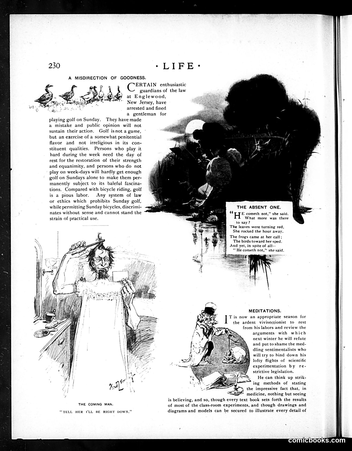 Life — September 24, 1896 — page 8: Life, 1896-09-24