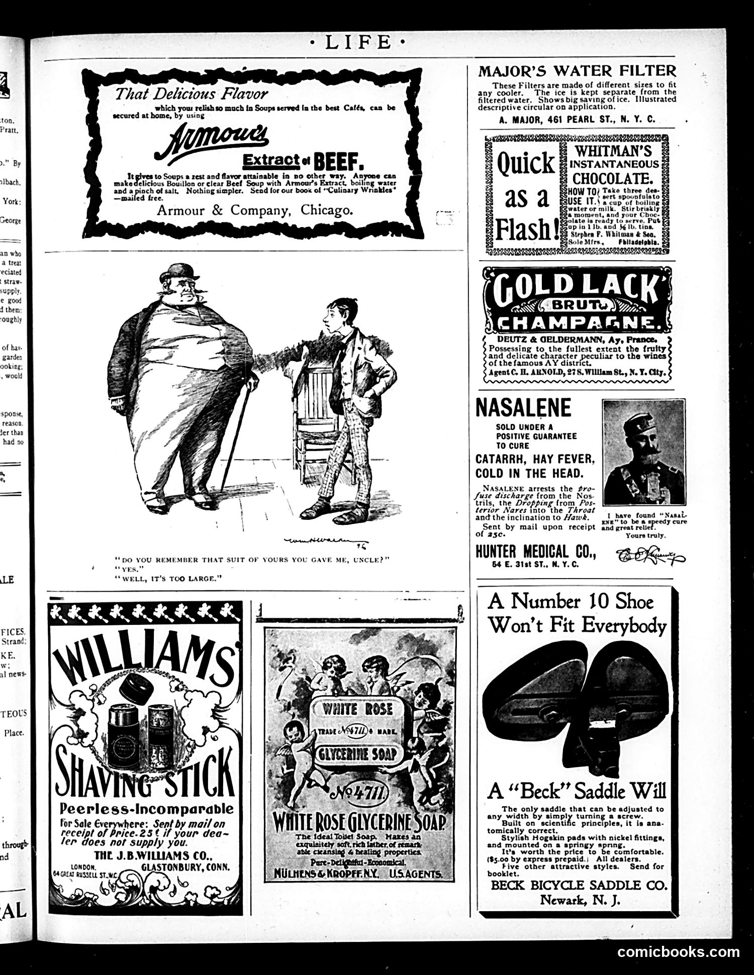 Life — October 15, 1896 — page 15: Life, 1896-10-15