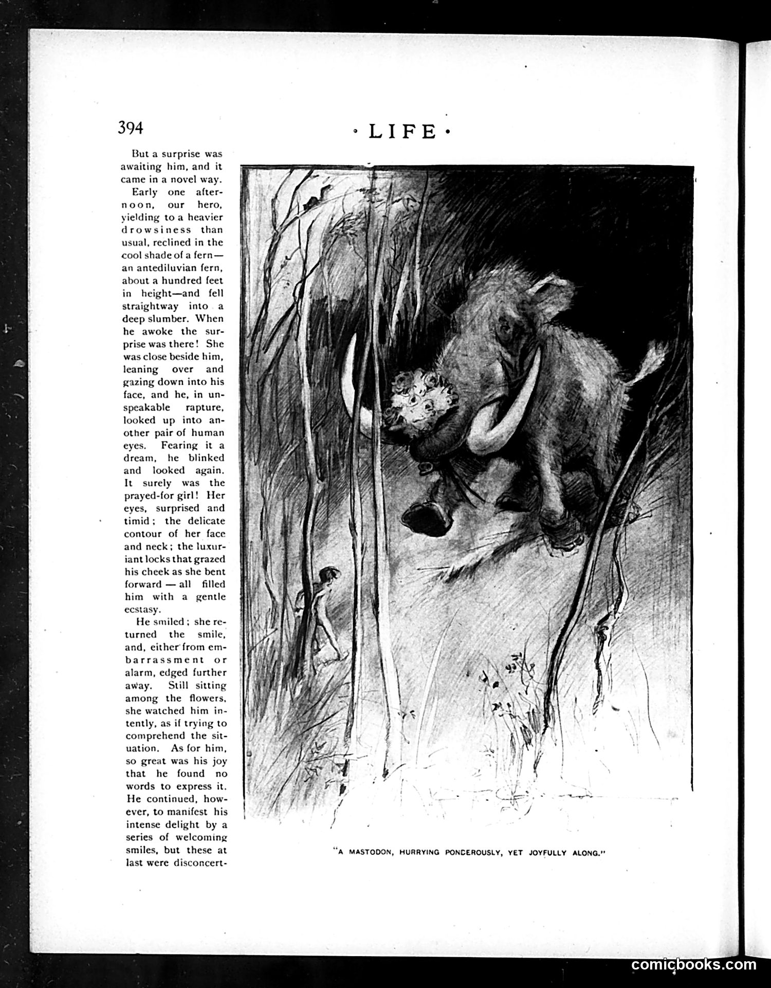 Life — November 26, 1896 — page 8: Life, 1896-11-26