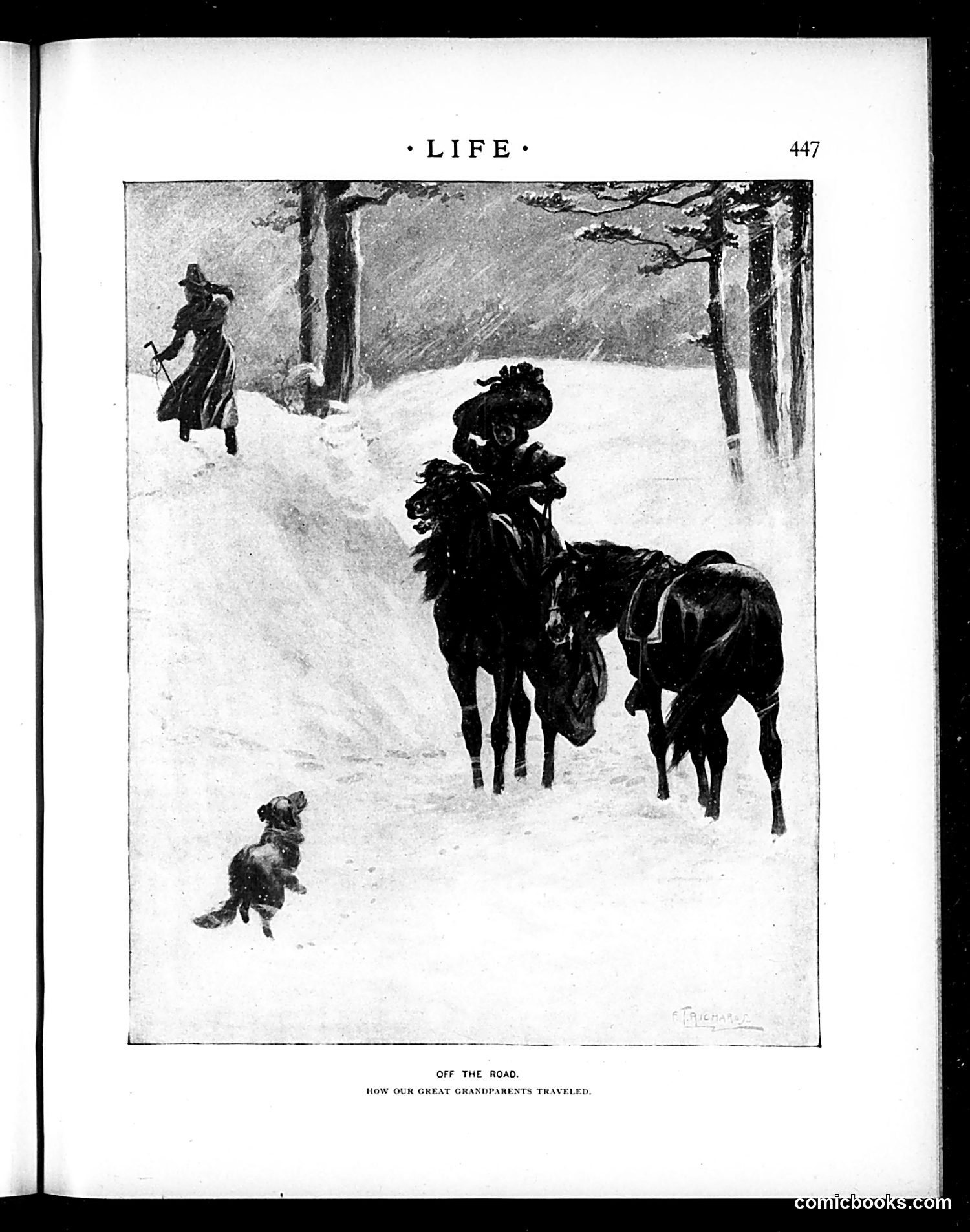 Life — December 5, 1896 — page 11: Life, 1896-12-05
