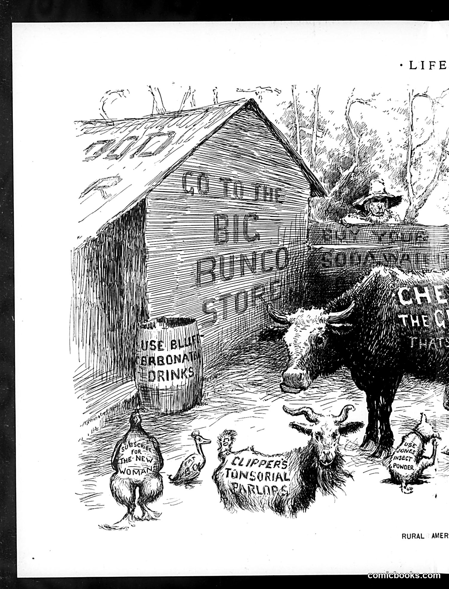 Life — June 17, 1897 — page 10: Life, 1897-06-17