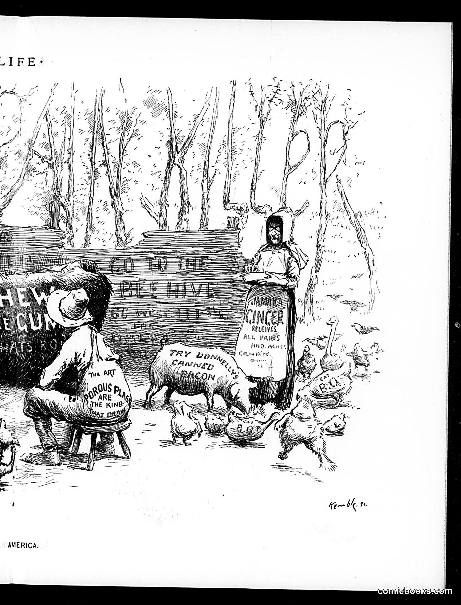 Life — June 17, 1897 — page 11: Life, 1897-06-17