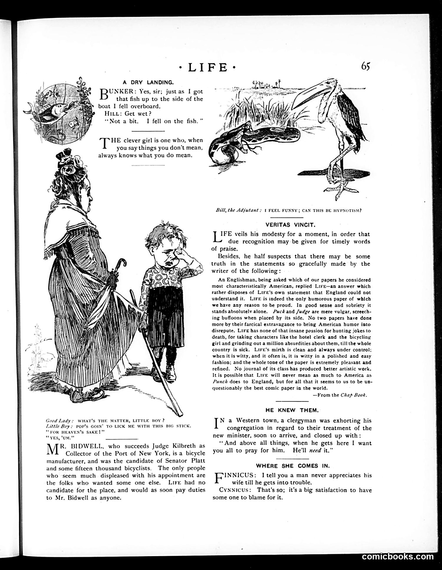 Life — July 22, 1897 — page 5: Life, 1897-07-22