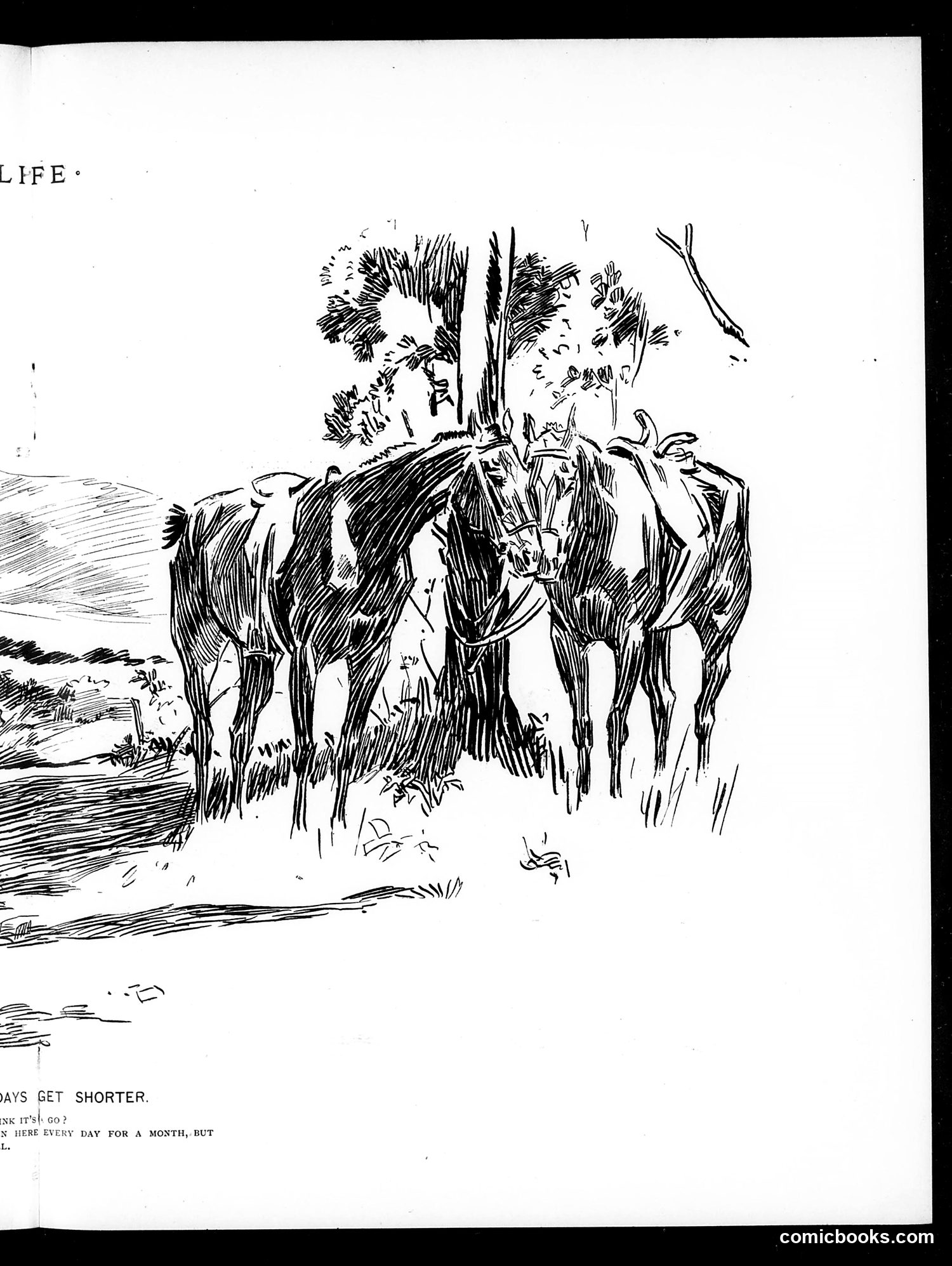 Life — September 16, 1897 — page 11: Life, 1897-09-16