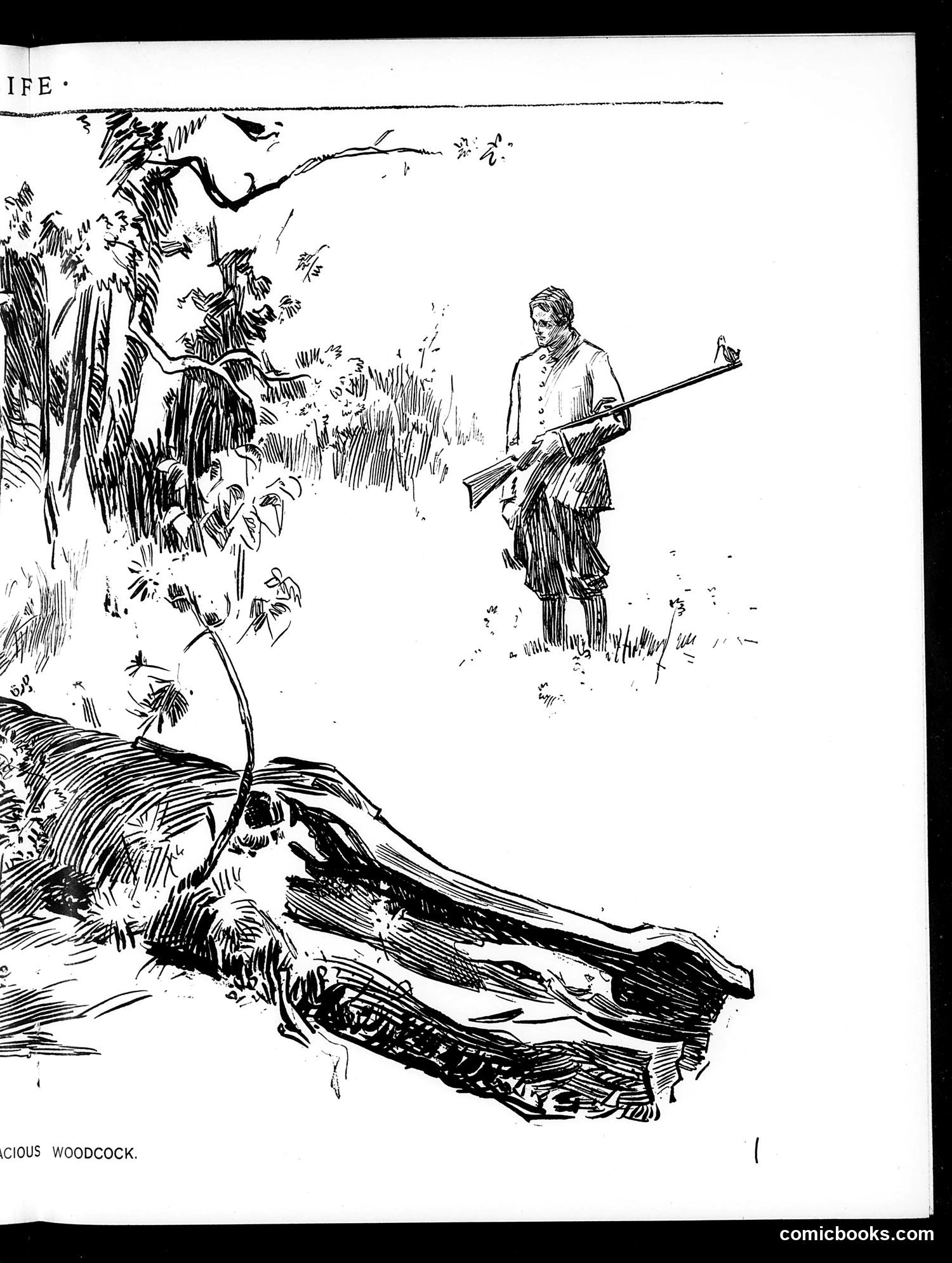 Life — October 14, 1897 — page 11: Life, 1897-10-14