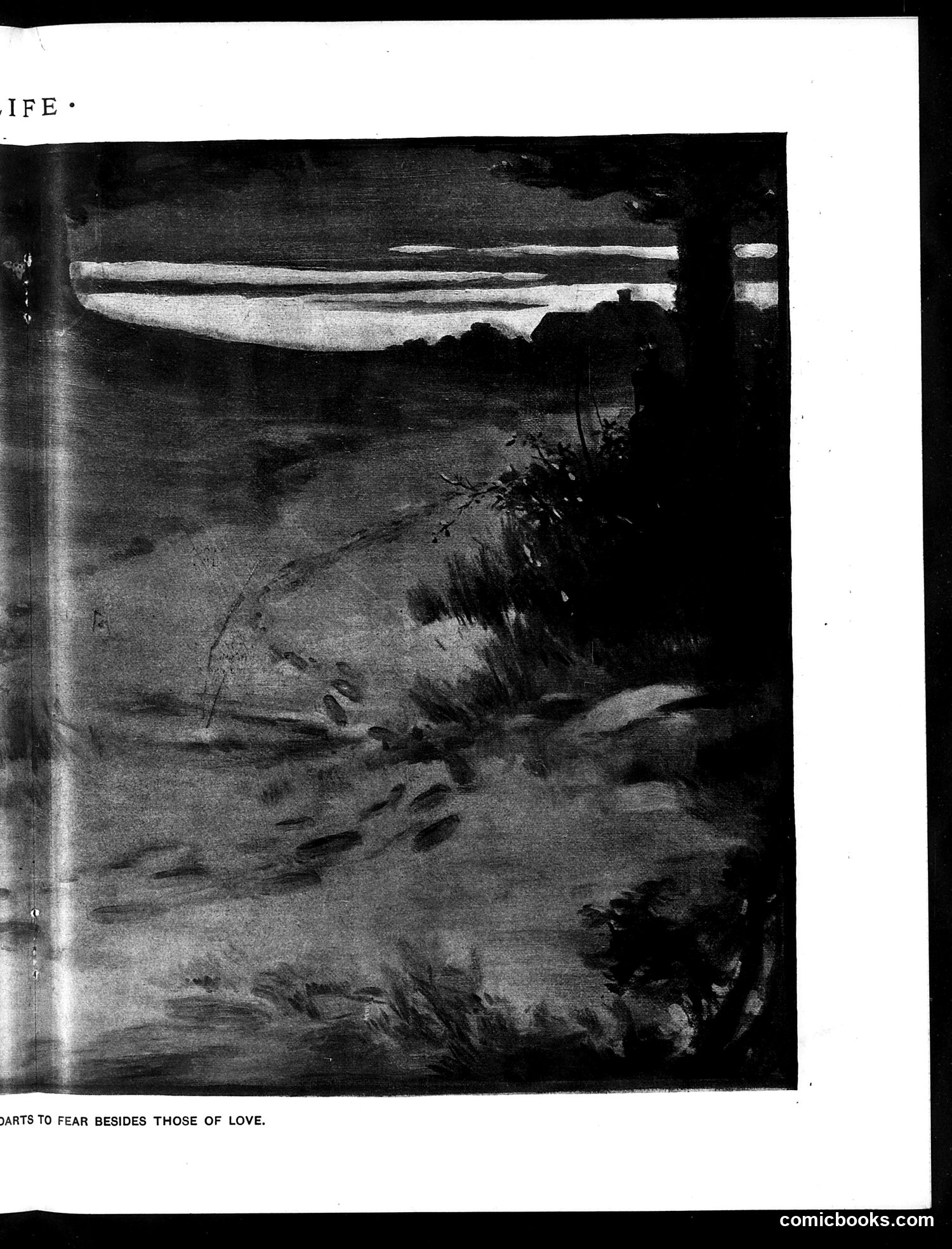 Life — November 25, 1897 — page 11: Life, 1897-11-25