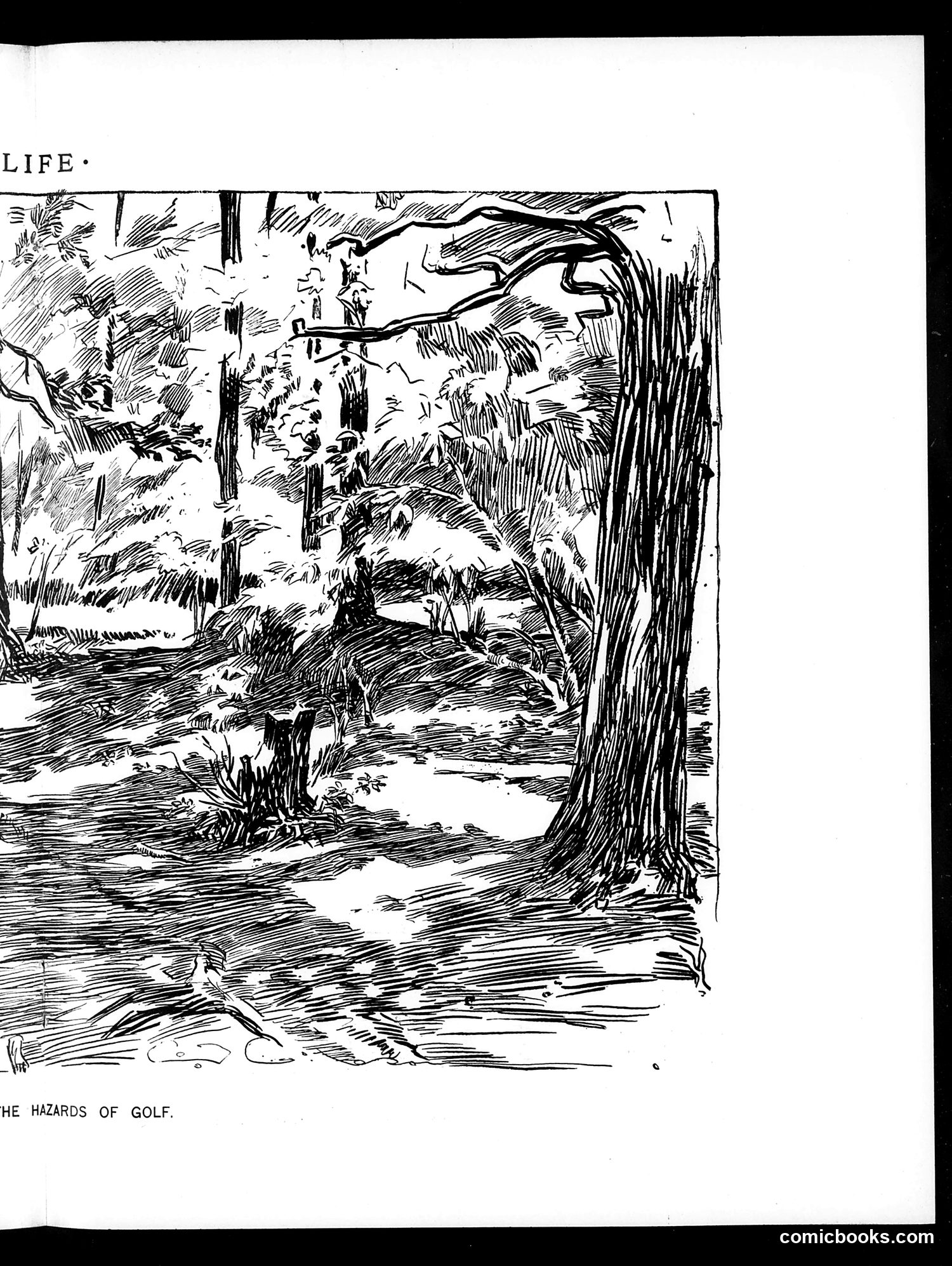 Life — December 2, 1897 — page 11: Life, 1897-12-02
