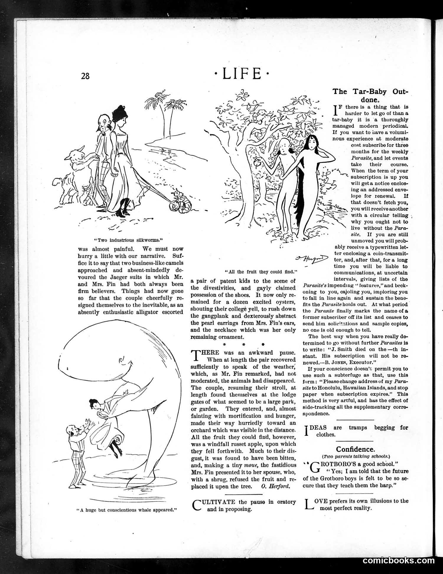 Life — July 14, 1898 — page 8: Life, 1898-07-14