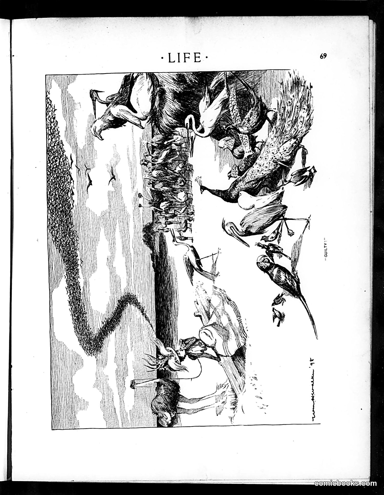 Life — July 28, 1898 — page 9: Life, 1898-07-28