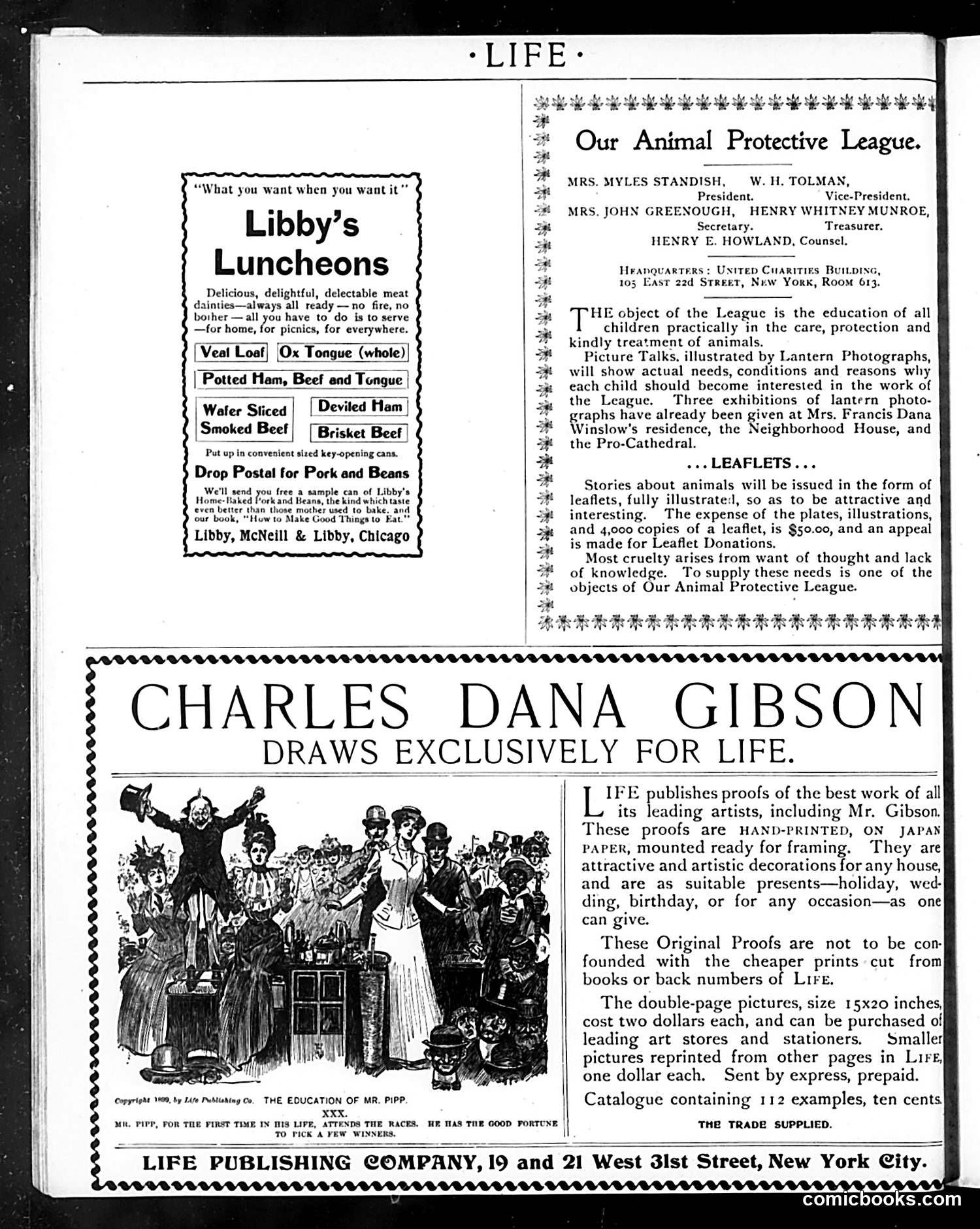 Life — July 13, 1899 — page 2: Life, 1899-07-13