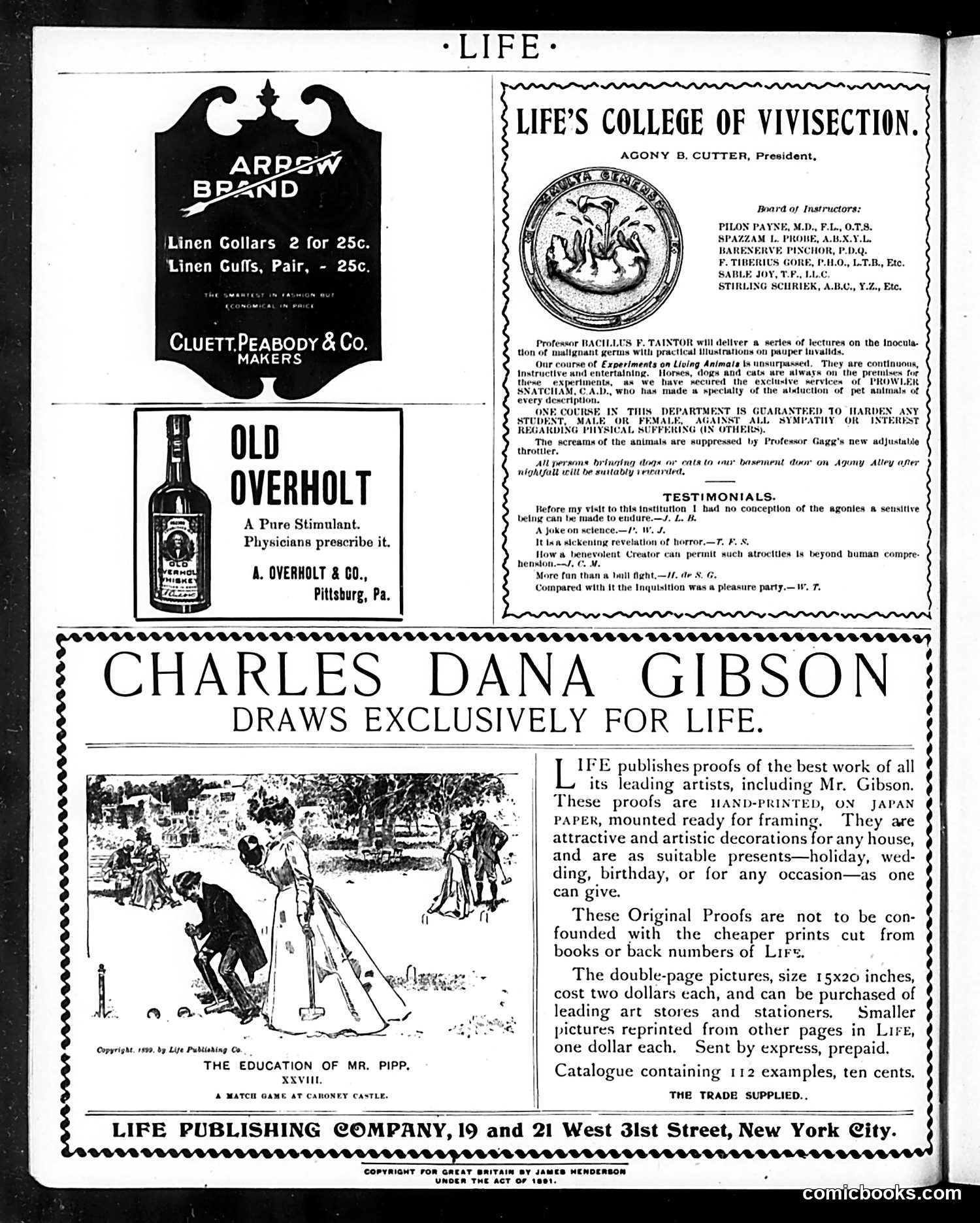 Life — August 3, 1899 — page 2: Life, 1899-08-03