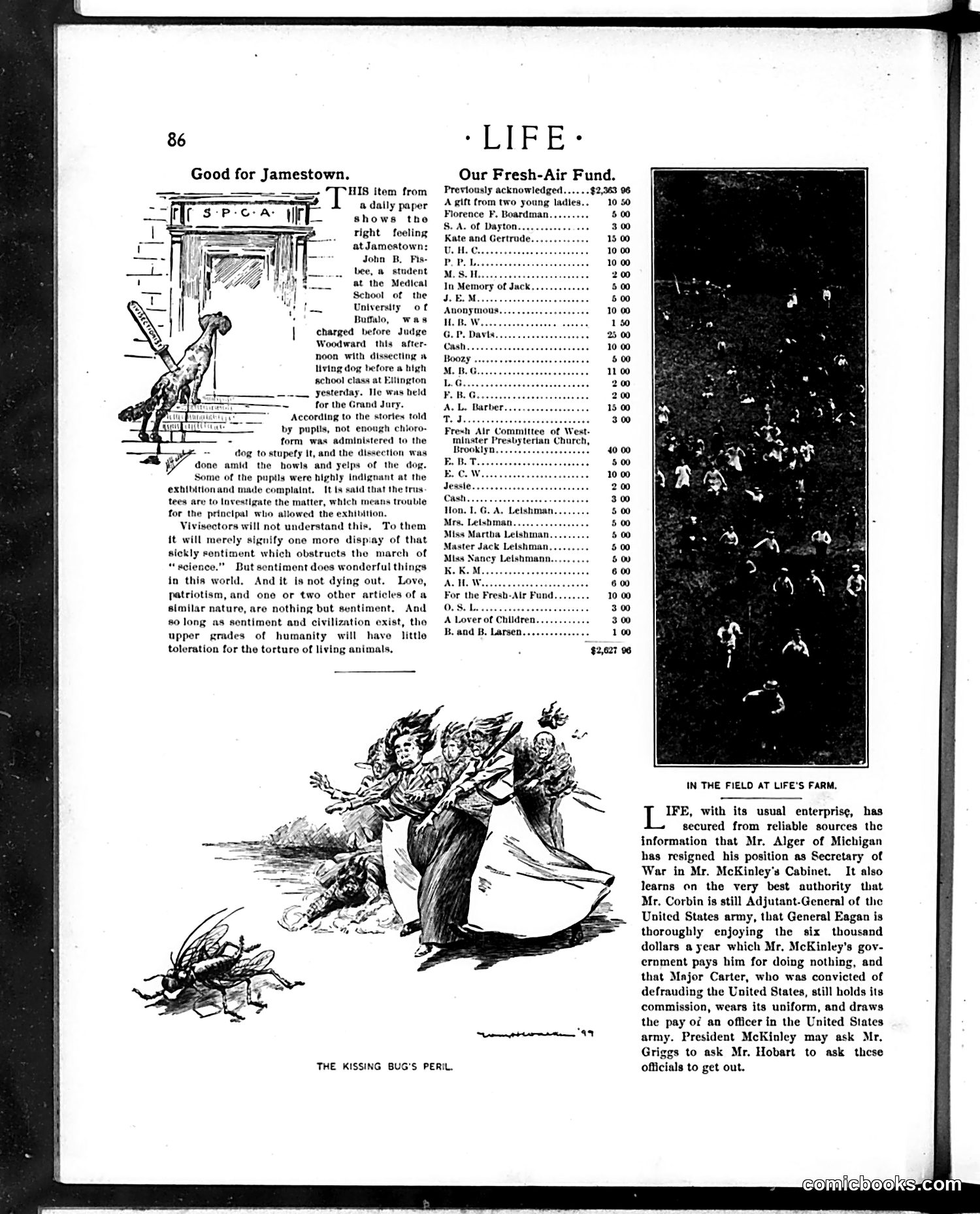 Life — August 3, 1899 — page 6: Life, 1899-08-03