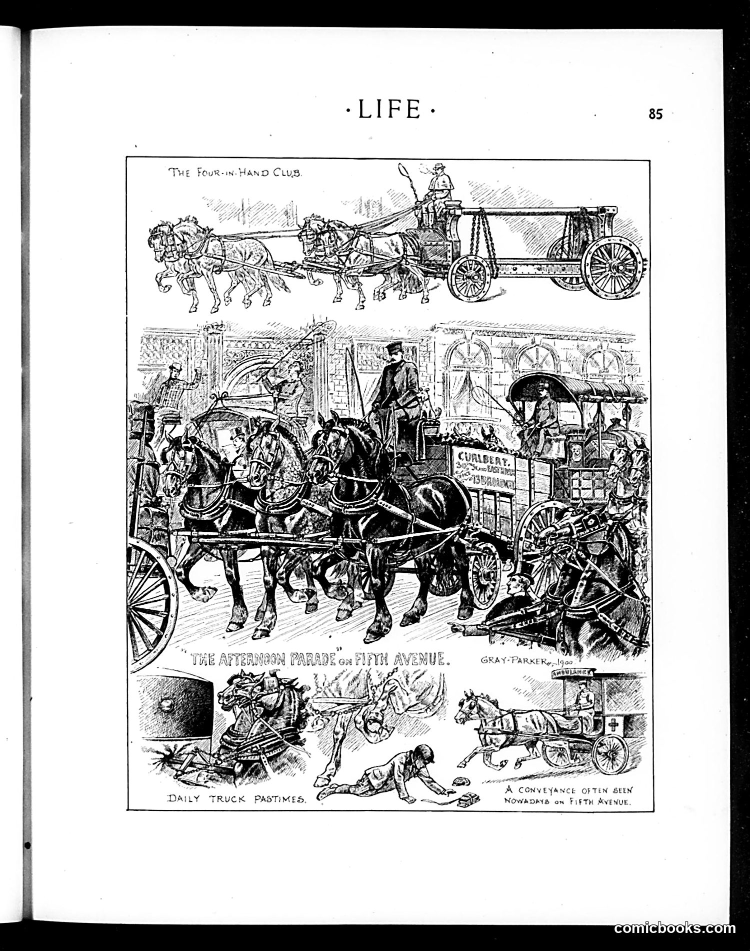 Life — February 1, 1900 — page 5: Life, 1900-02-01