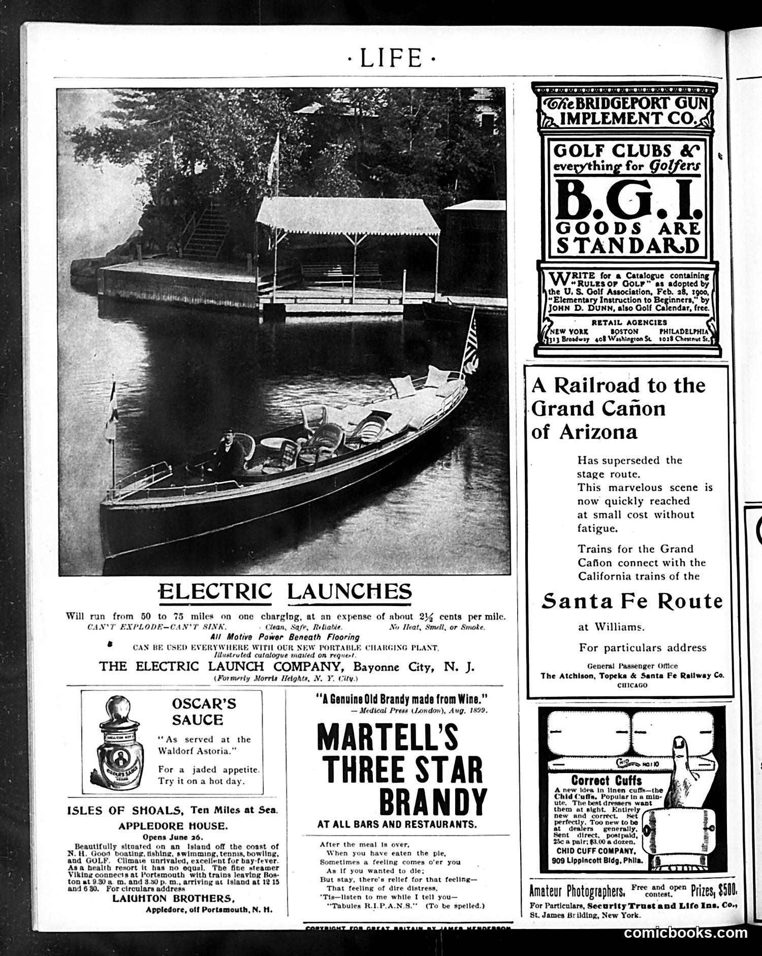 Life — June 7, 1900 — page 2: Life, 1900-06-07