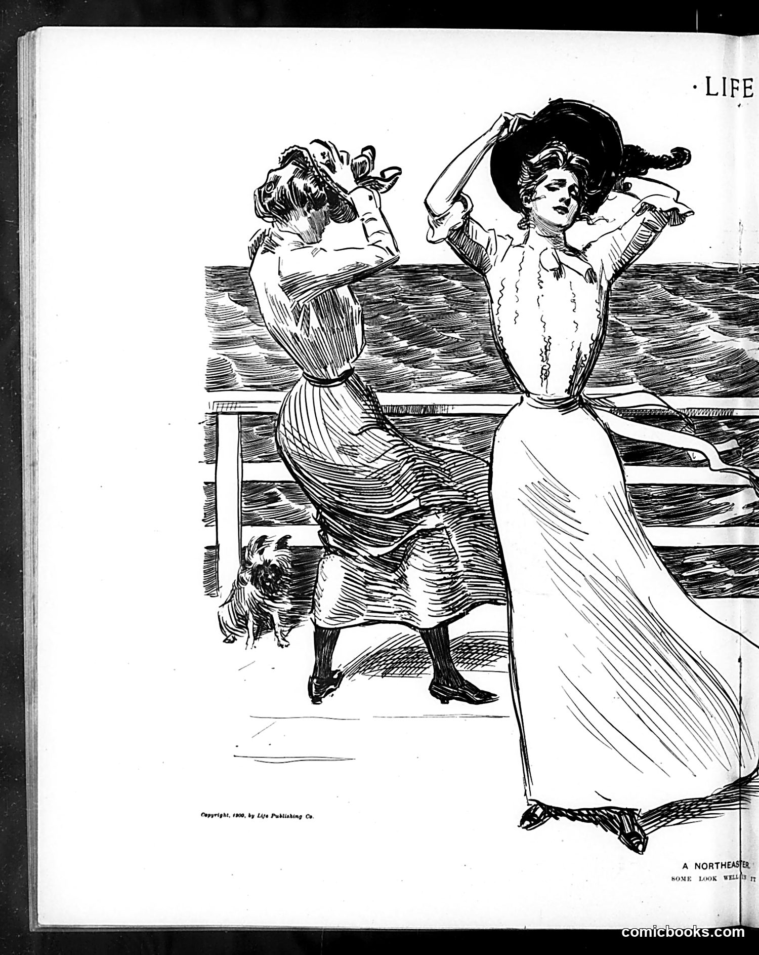 Life — June 28, 1900 — page 10: Life, 1900-06-28
