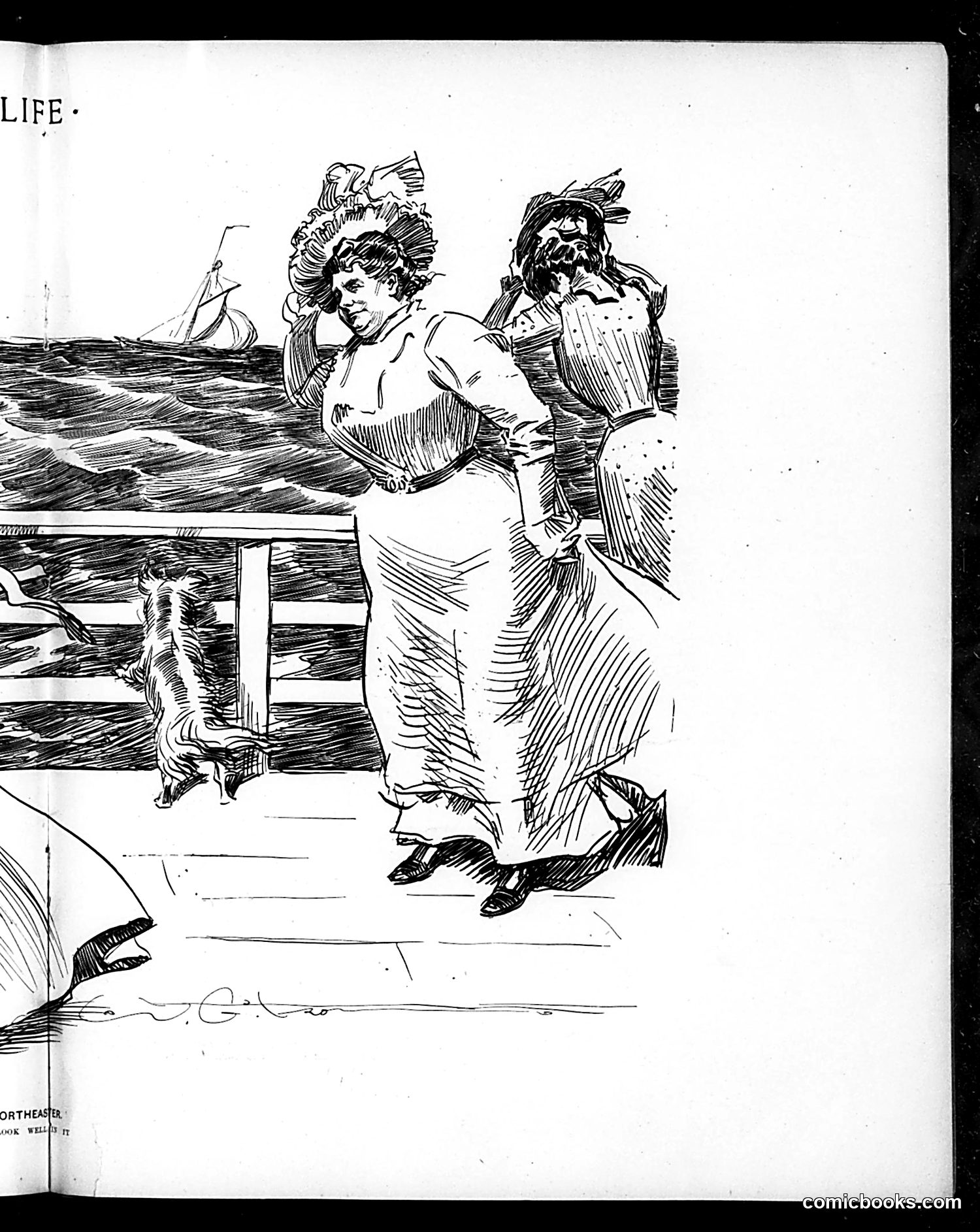 Life — June 28, 1900 — page 11: Life, 1900-06-28