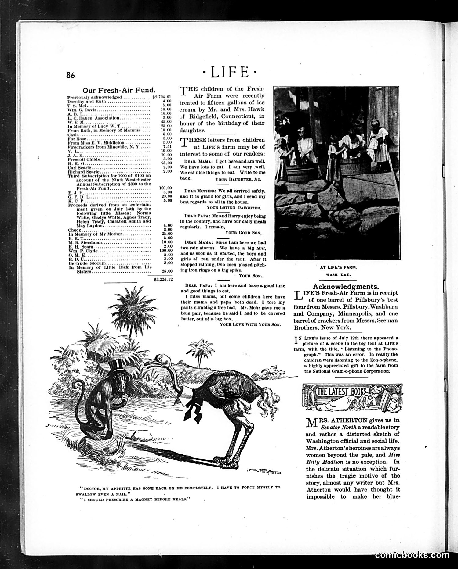 Life — August 2, 1900 — page 6: Life, 1900-08-02