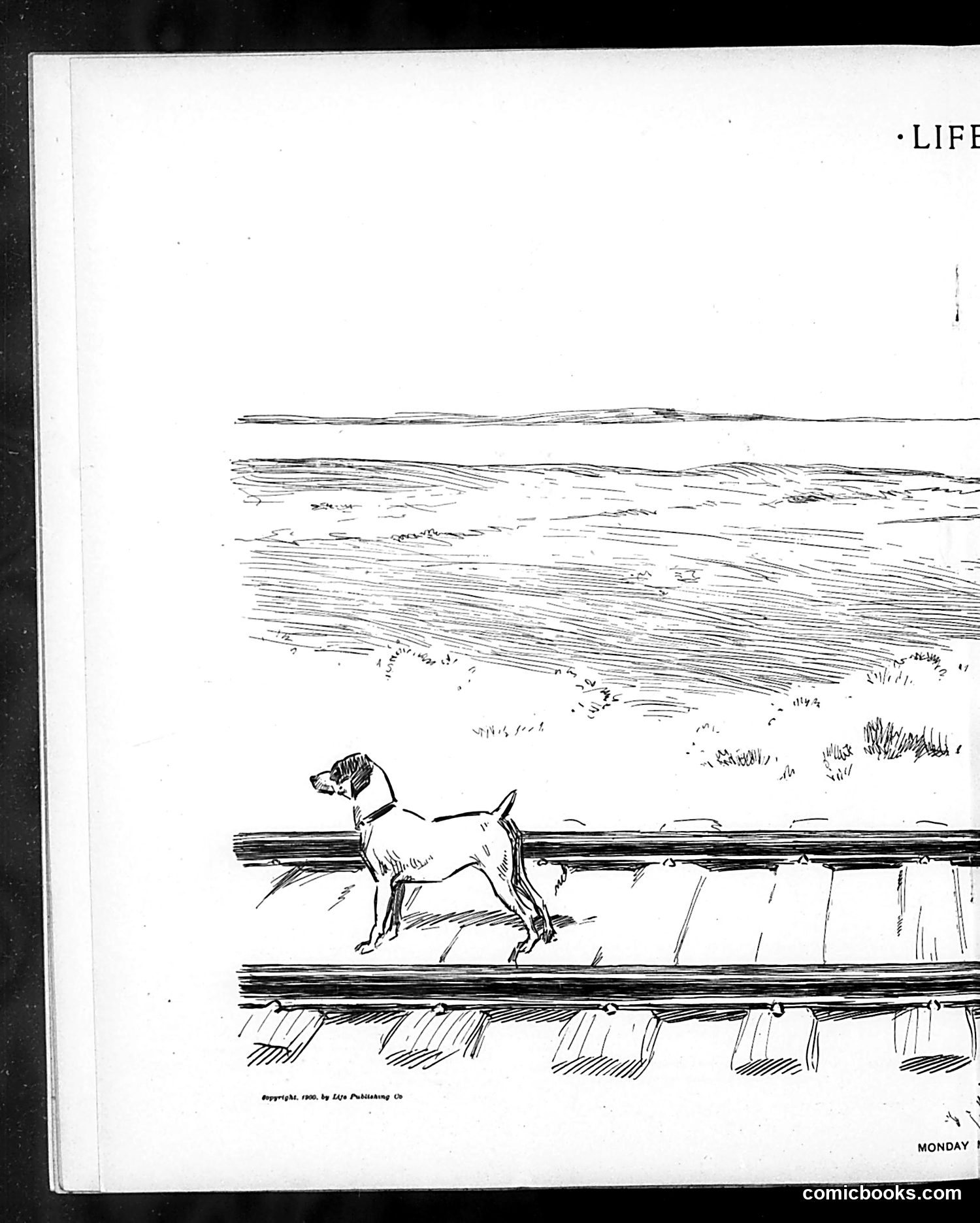 Life — August 30, 1900 — page 10: Life, 1900-08-30