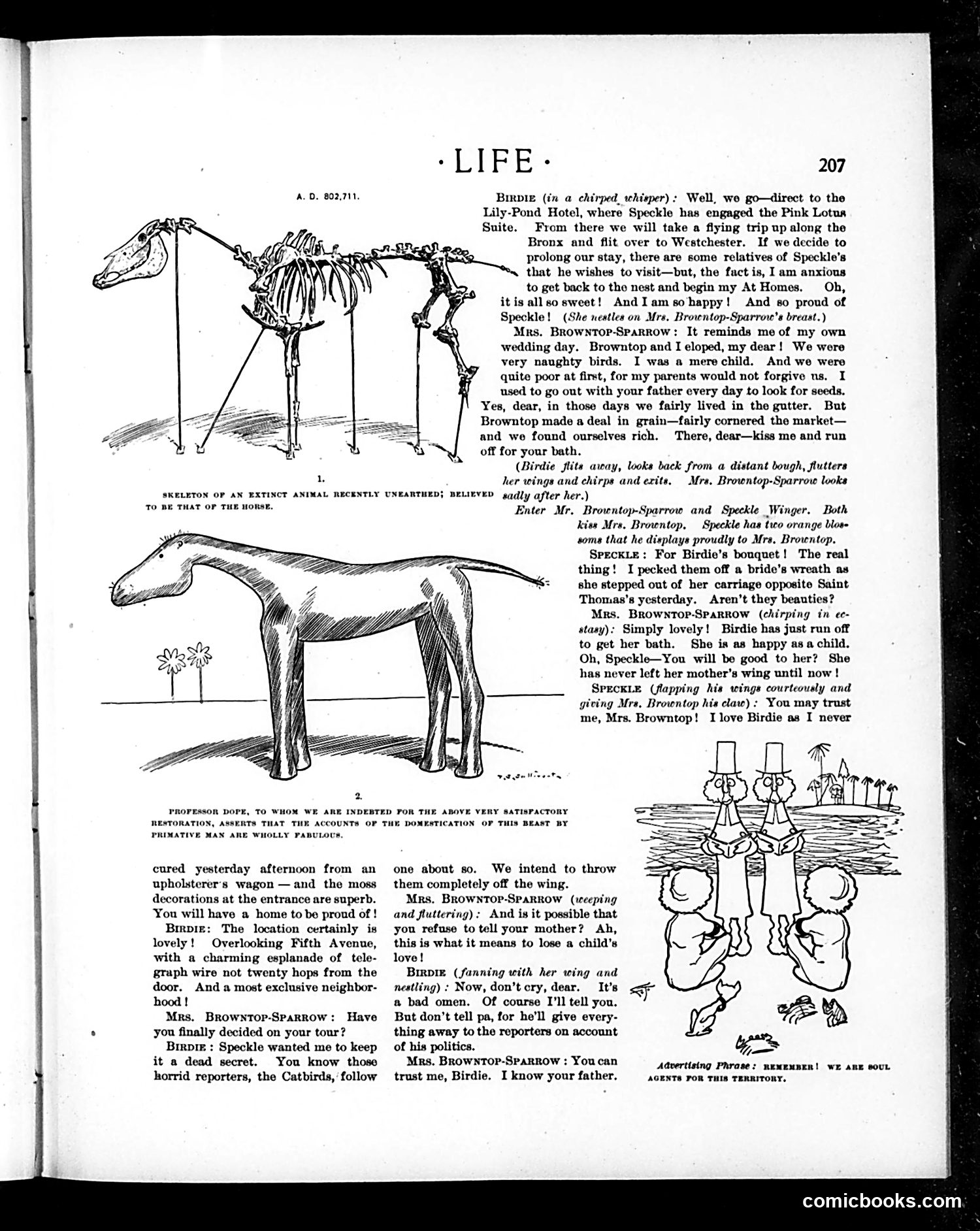 Life — September 13, 1900 — page 7: Life, 1900-09-13