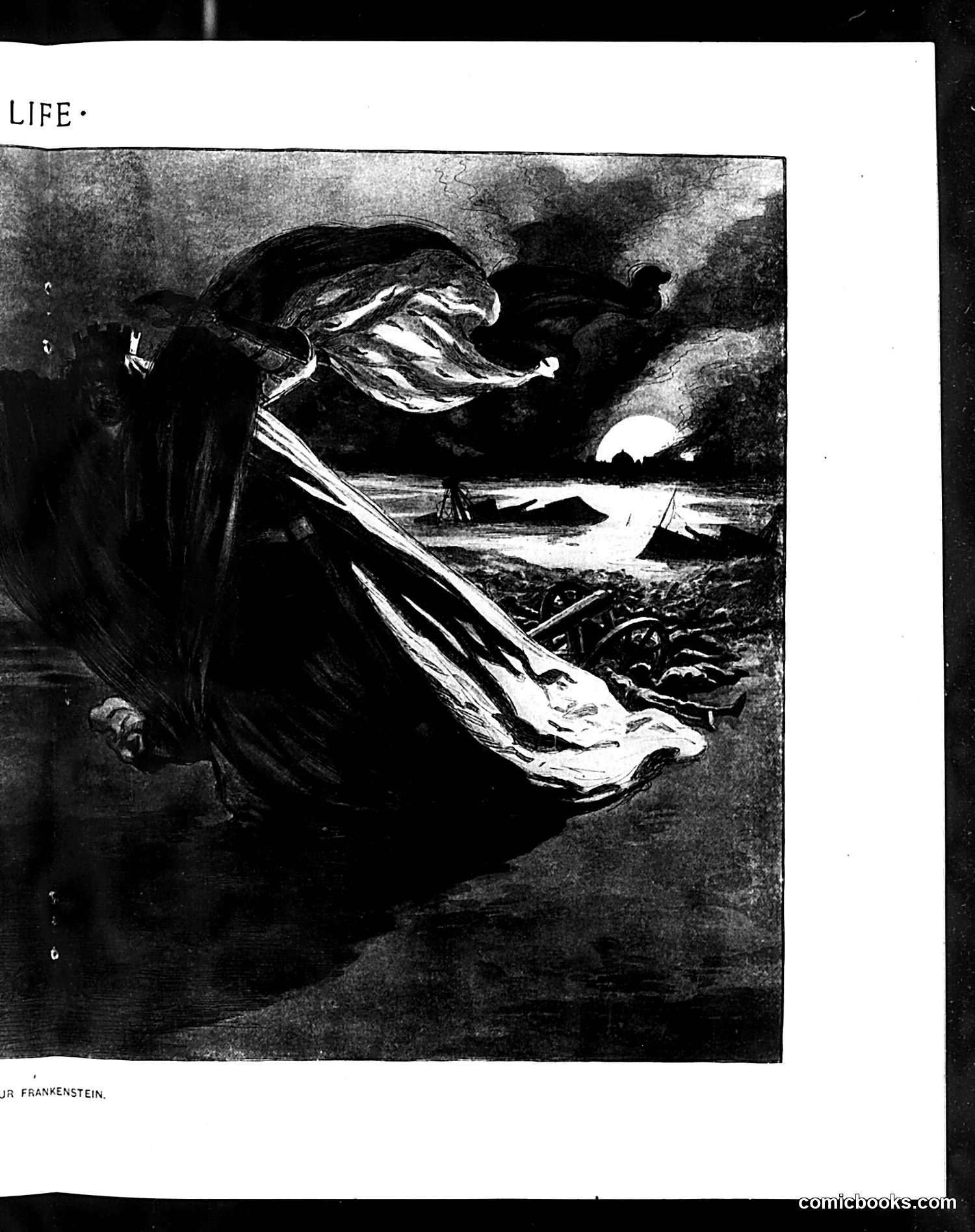 Life — November 1, 1900 — page 11: Life, 1900-11-01