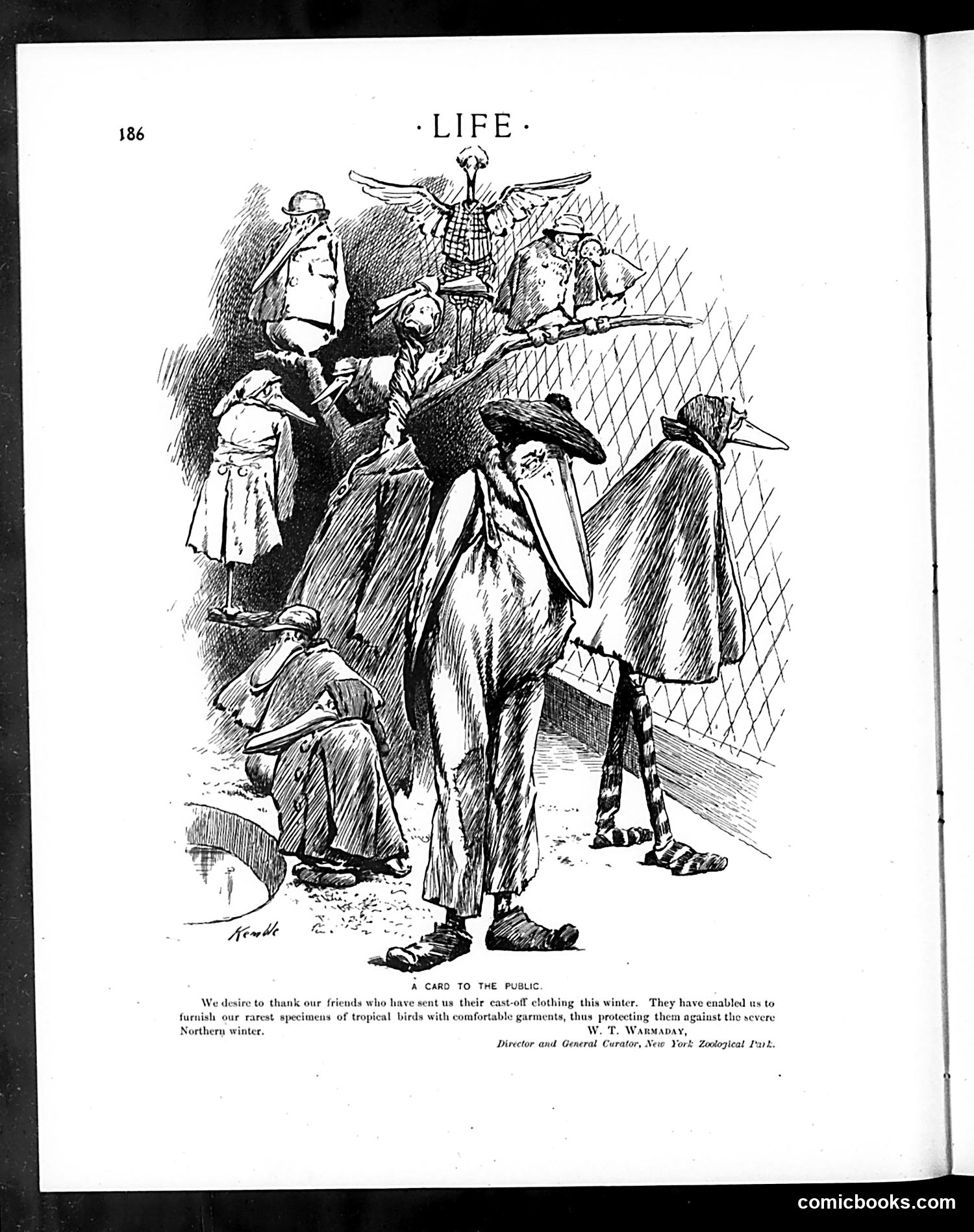 Life — March 7, 1901 — page 6: Life, 1901-03-07