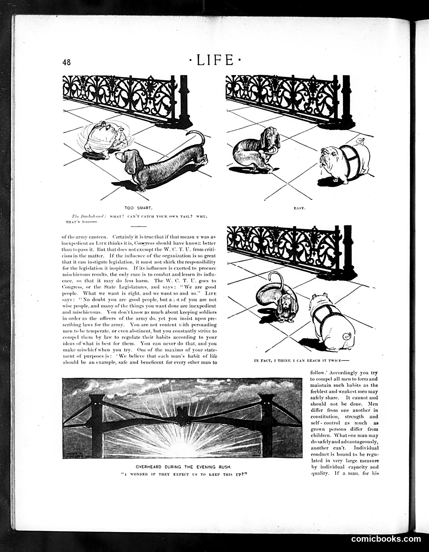 Life — July 18, 1901 — page 8: Life, 1901-07-18