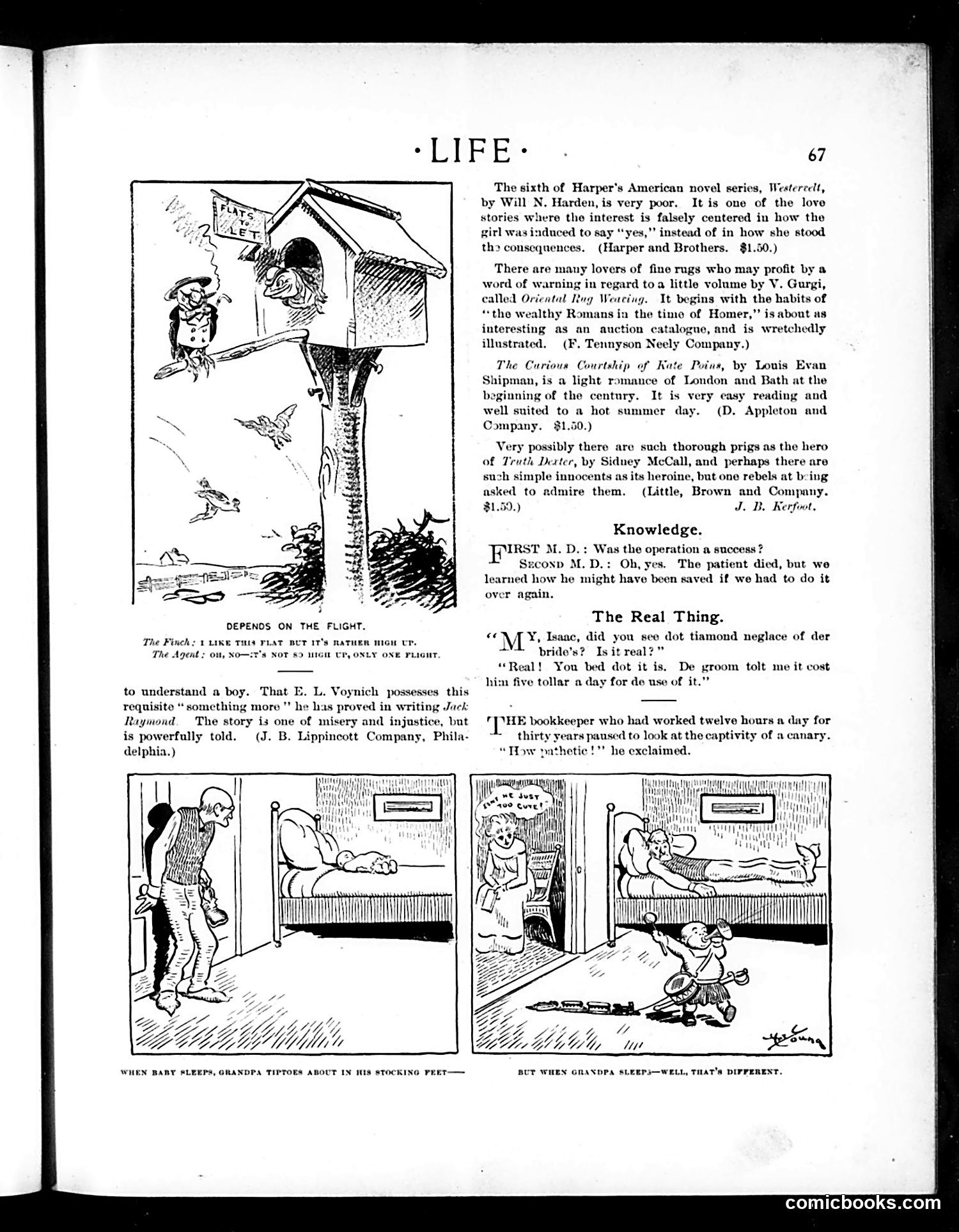Life — July 25, 1901 — page 7: Life, 1901-07-25