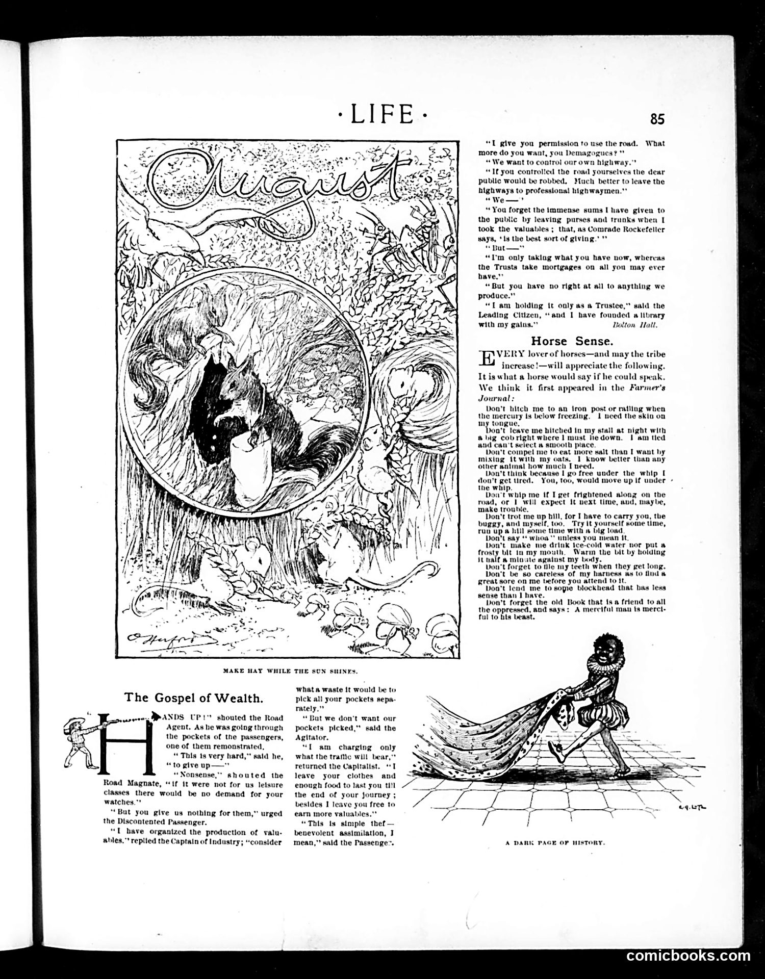 Life — August 1, 1901 — page 5: Life, 1901-08-01