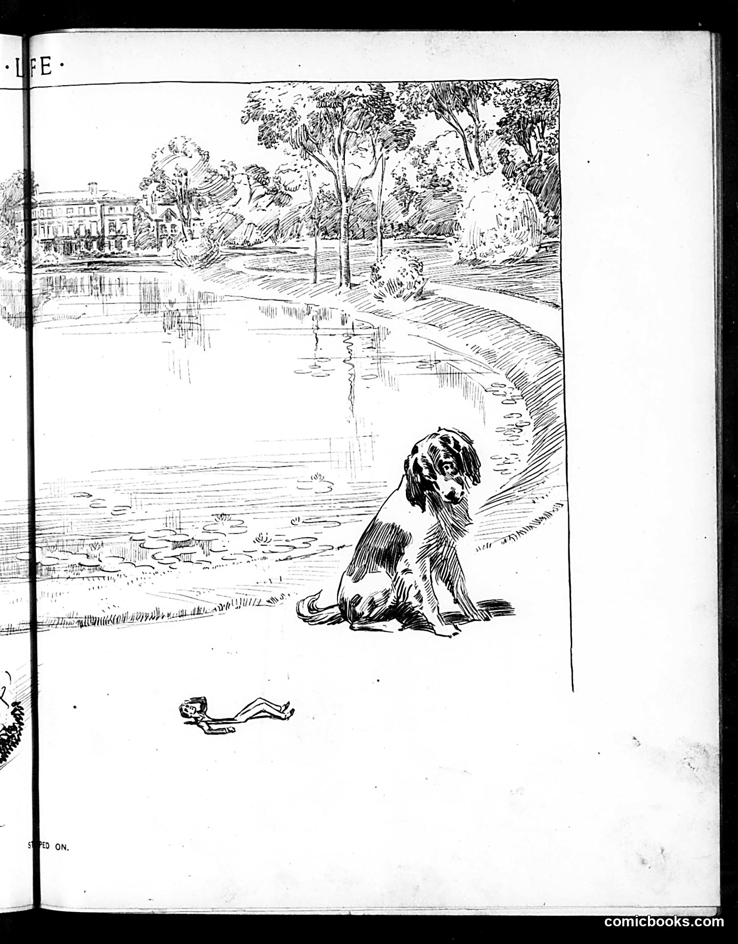 Life — August 1, 1901 — page 11: Life, 1901-08-01