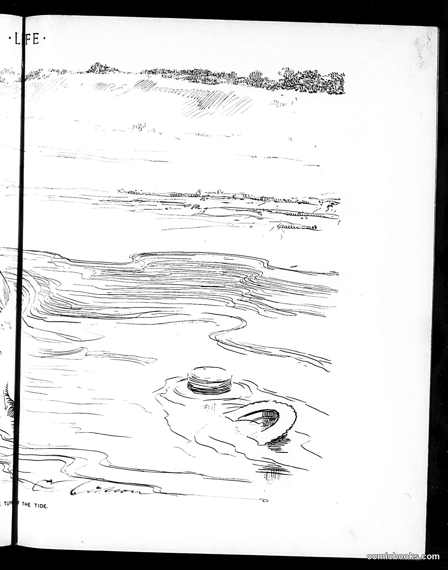 Life — August 8, 1901 — page 11: Life, 1901-08-08