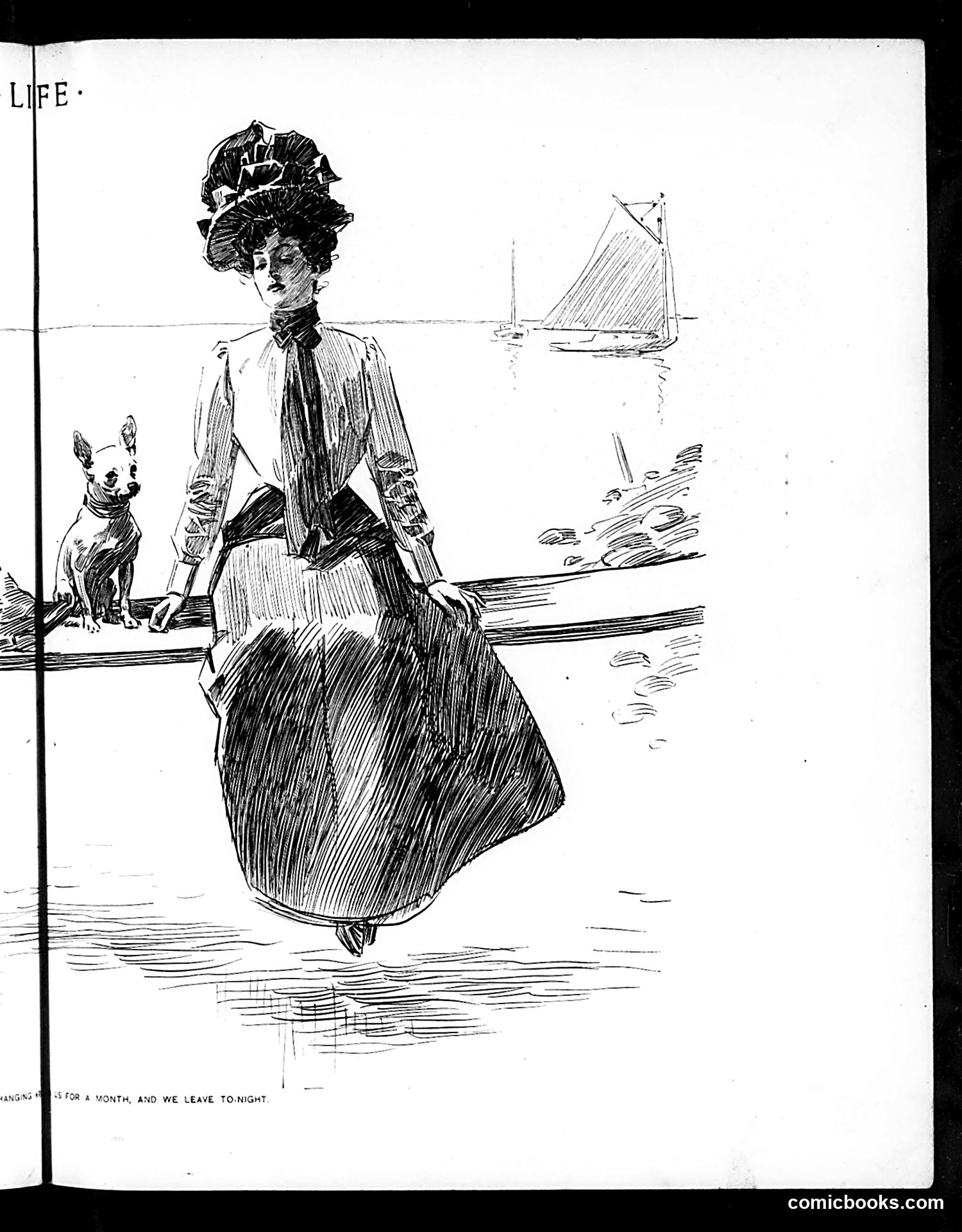 Life — August 15, 1901 — page 11: Life, 1901-08-15
